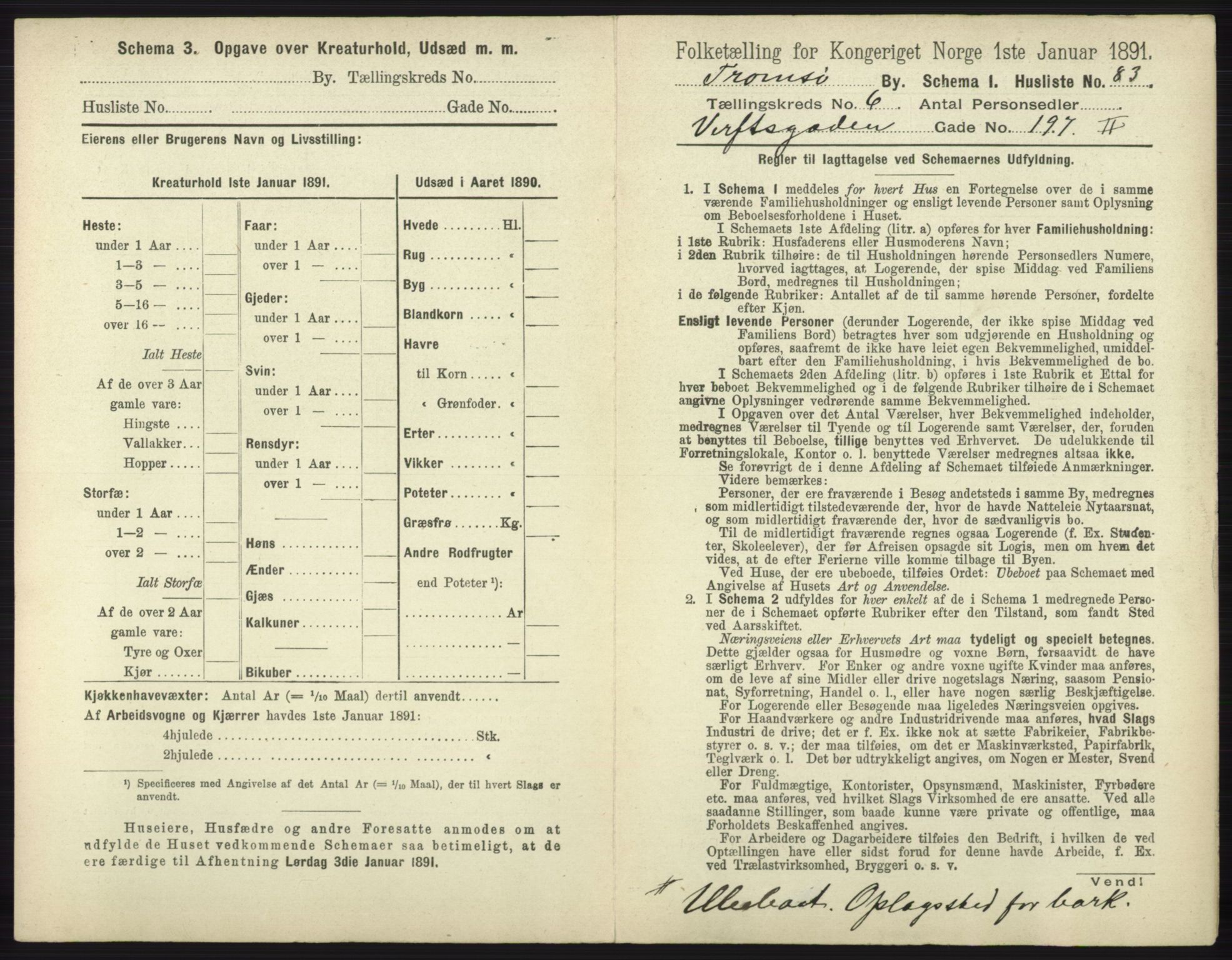 RA, 1891 census for 1902 Tromsø, 1891, p. 5547