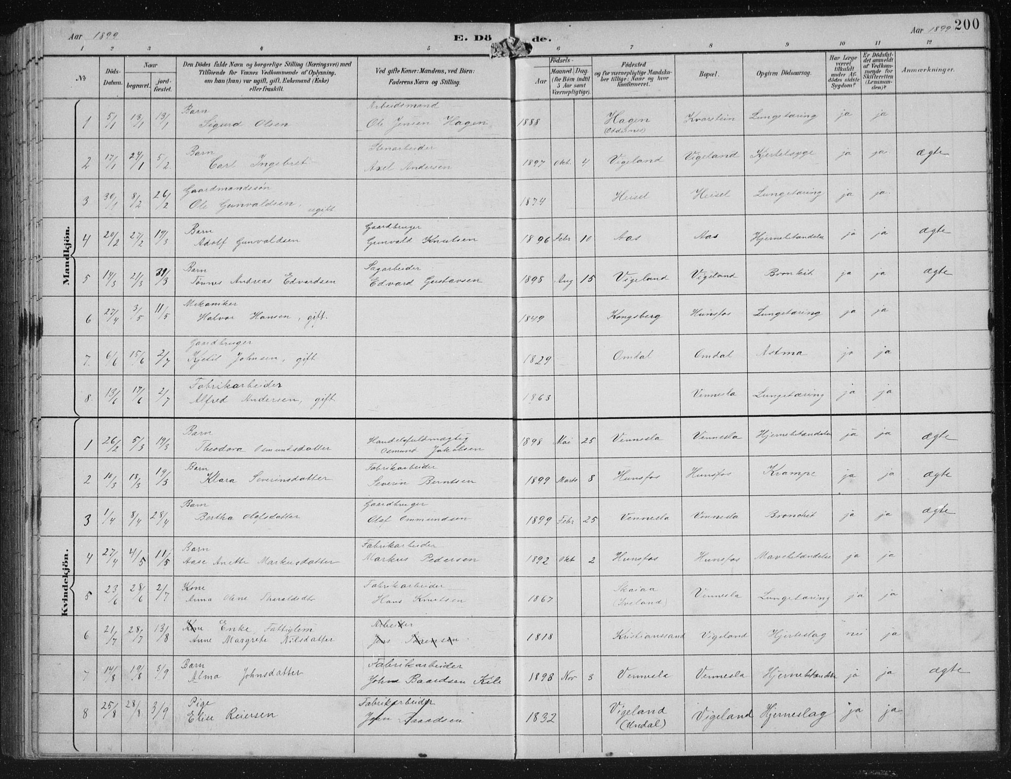 Vennesla sokneprestkontor, AV/SAK-1111-0045/Fb/Fbb/L0004: Parish register (copy) no. B 4, 1893-1902, p. 200