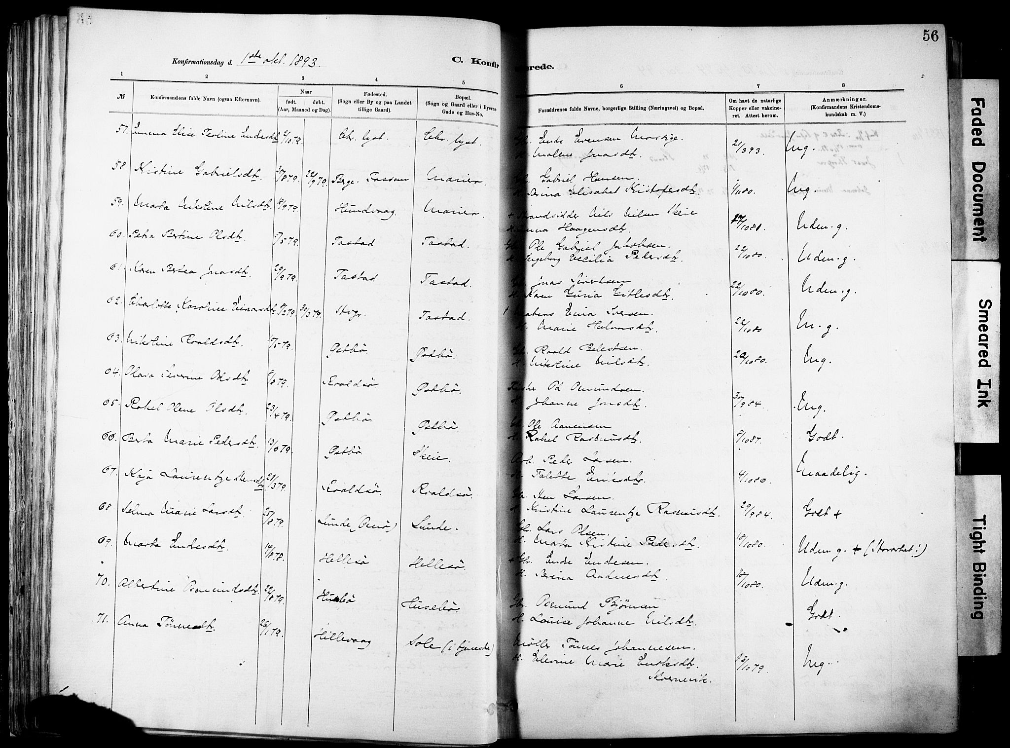 Hetland sokneprestkontor, SAST/A-101826/30/30BA/L0012: Parish register (official) no. A 12, 1882-1912, p. 56
