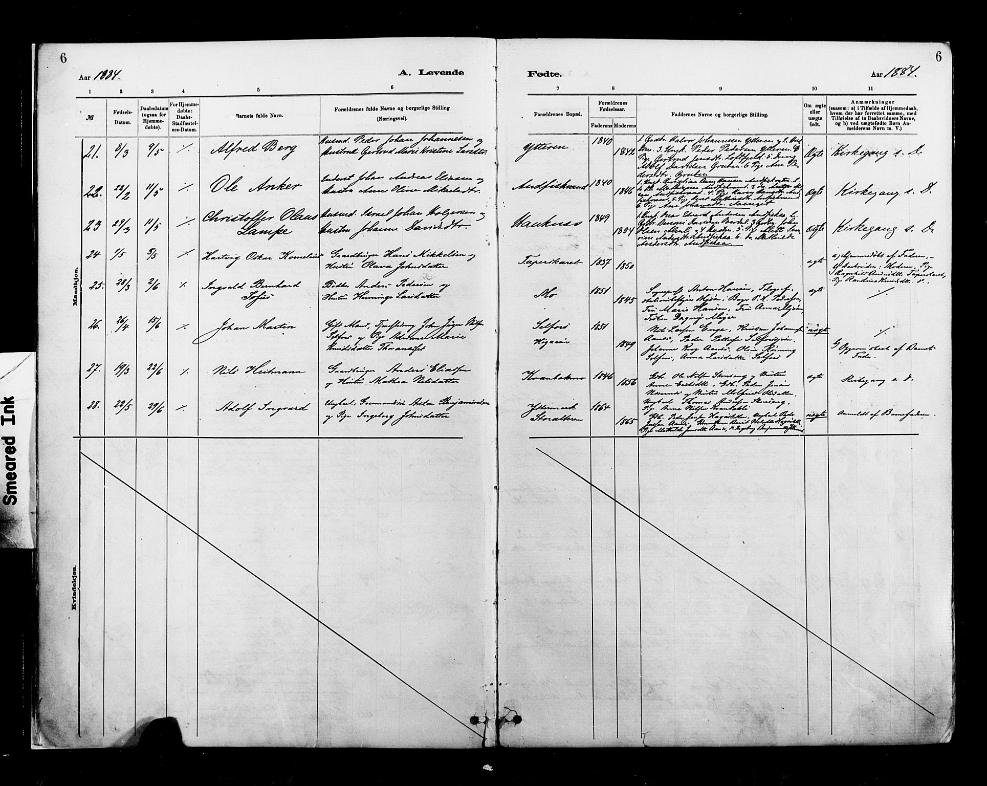 Ministerialprotokoller, klokkerbøker og fødselsregistre - Nordland, AV/SAT-A-1459/827/L0400: Parish register (official) no. 827A12, 1883-1903, p. 6