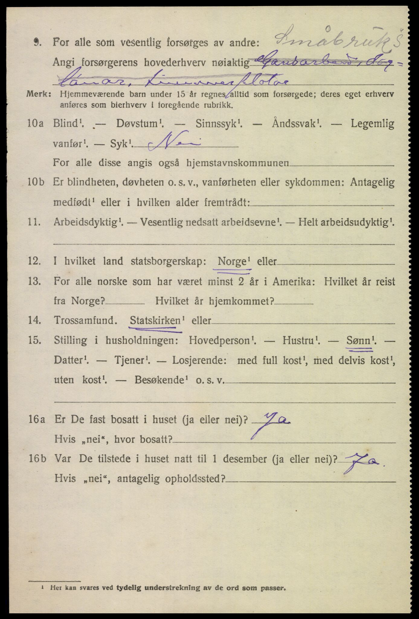 SAK, 1920 census for Bykle, 1920, p. 608