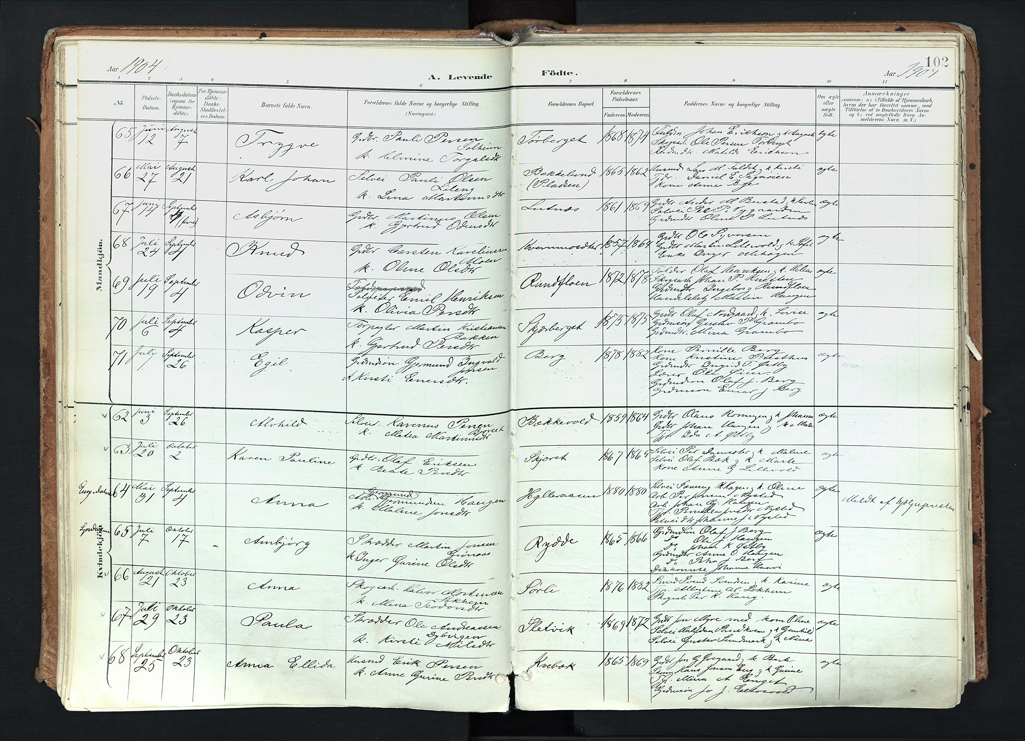 Trysil prestekontor, AV/SAH-PREST-046/H/Ha/Haa/L0012: Parish register (official) no. 12, 1898-1917, p. 102