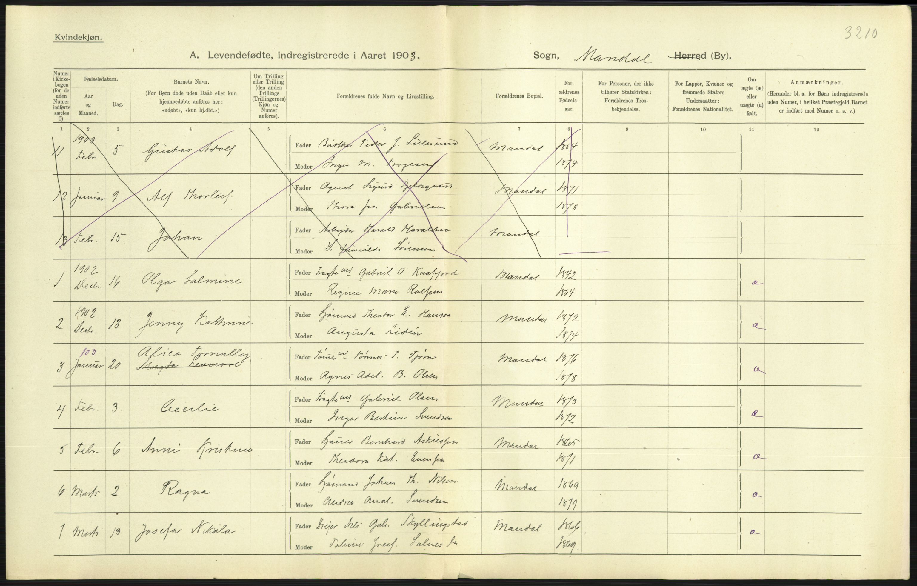 Statistisk sentralbyrå, Sosiodemografiske emner, Befolkning, AV/RA-S-2228/D/Df/Dfa/Dfaa/L0011: Lister og Mandal amt: Fødte, gifte, døde, 1903, p. 211