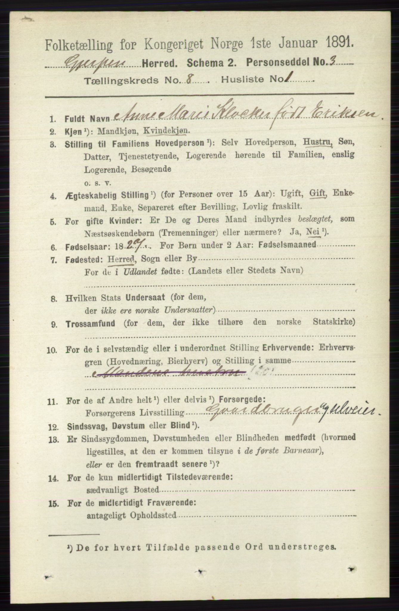 RA, 1891 census for 0812 Gjerpen, 1891, p. 4013