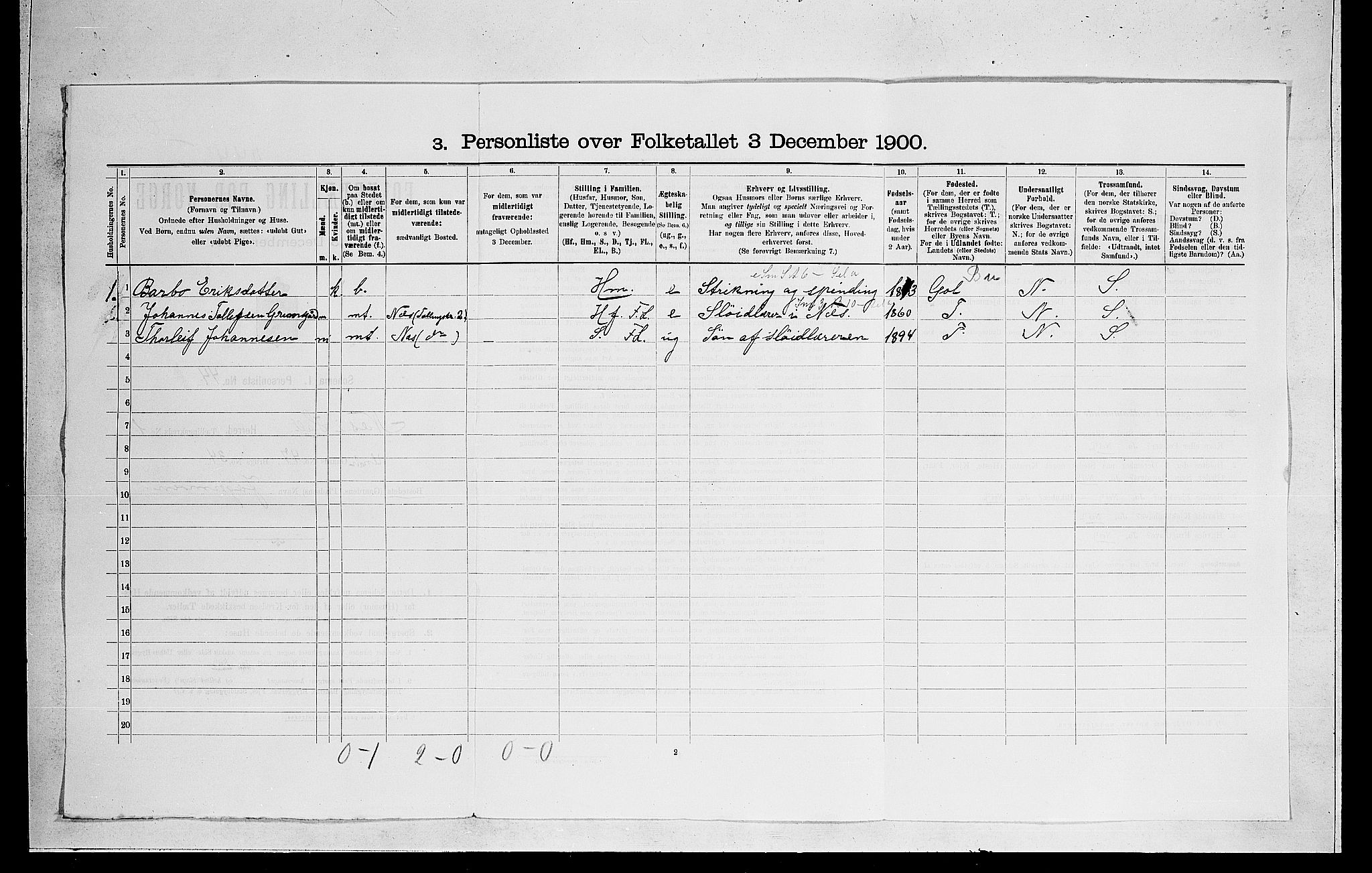 RA, 1900 census for Nes, 1900, p. 41
