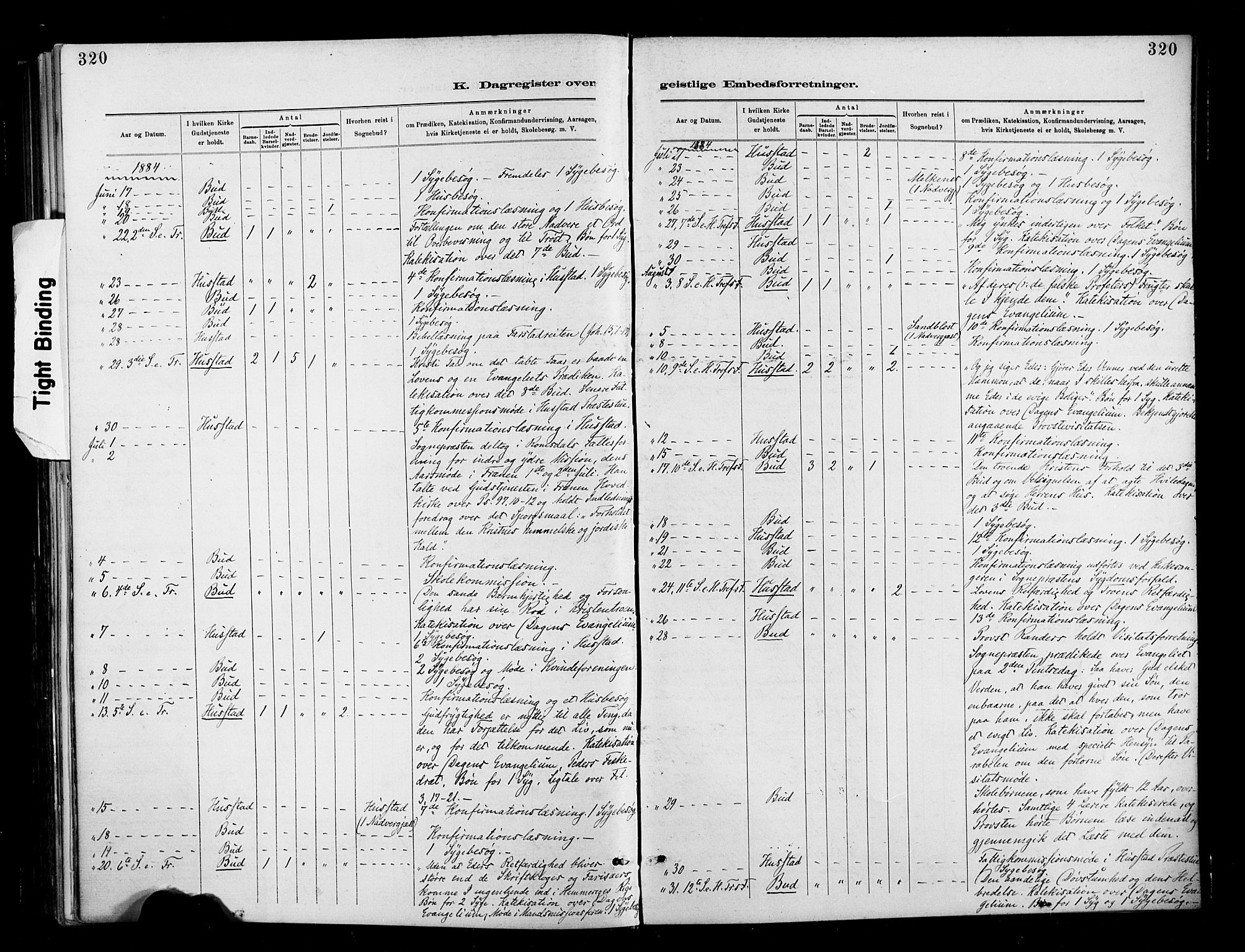 Ministerialprotokoller, klokkerbøker og fødselsregistre - Møre og Romsdal, AV/SAT-A-1454/566/L0769: Parish register (official) no. 566A08, 1881-1903, p. 320