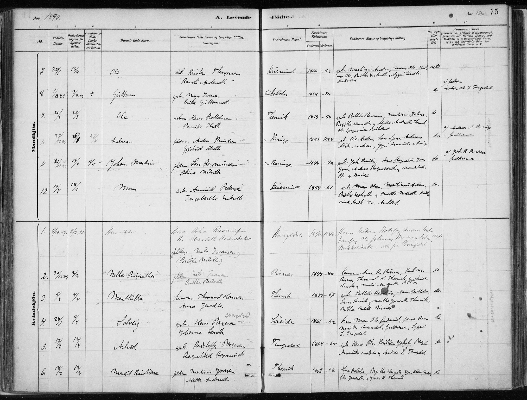 Masfjorden Sokneprestembete, SAB/A-77001: Parish register (official) no. B  1, 1876-1899, p. 75