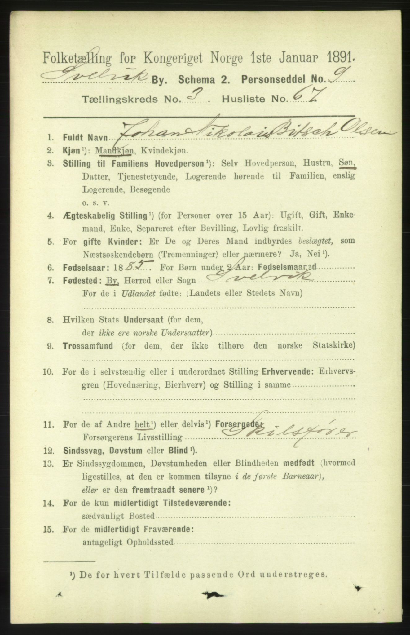 RA, 1891 census for 0701 Svelvik, 1891, p. 1598