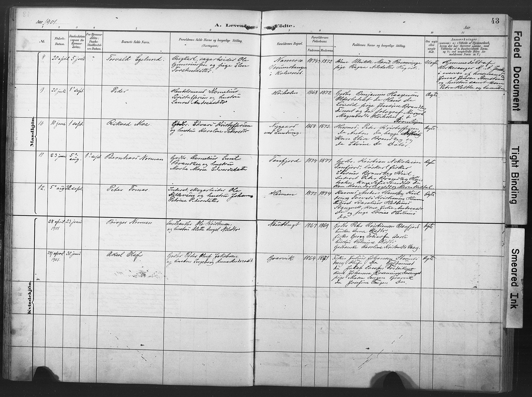 Ministerialprotokoller, klokkerbøker og fødselsregistre - Nord-Trøndelag, SAT/A-1458/789/L0706: Parish register (copy) no. 789C01, 1888-1931, p. 43
