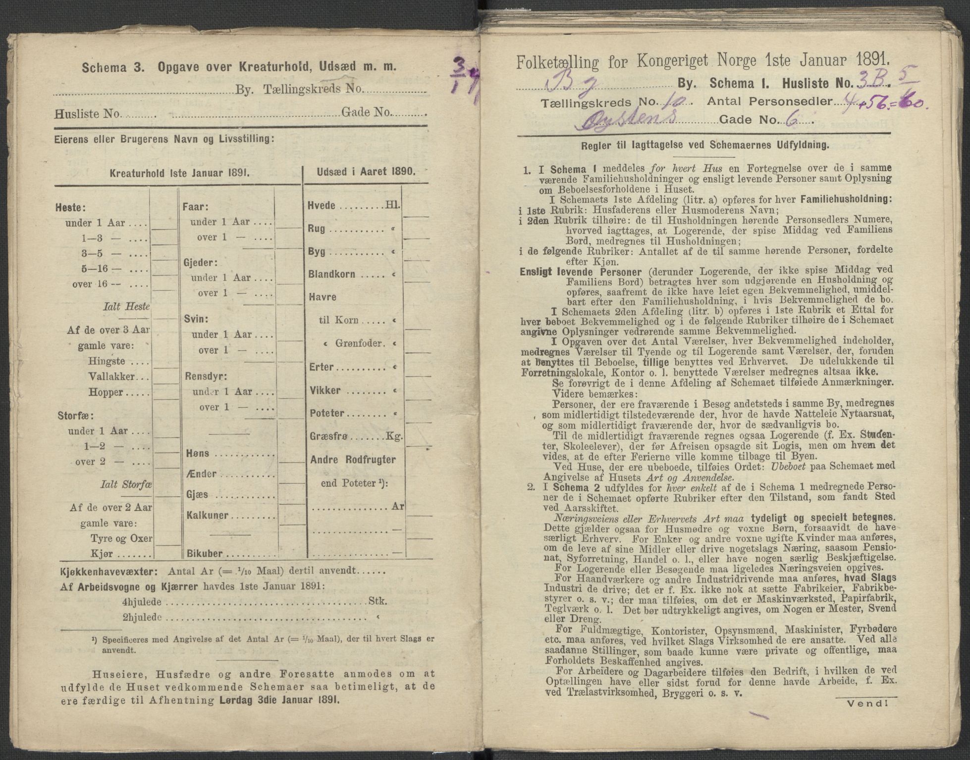 RA, 1891 Census for 1301 Bergen, 1891, p. 1598