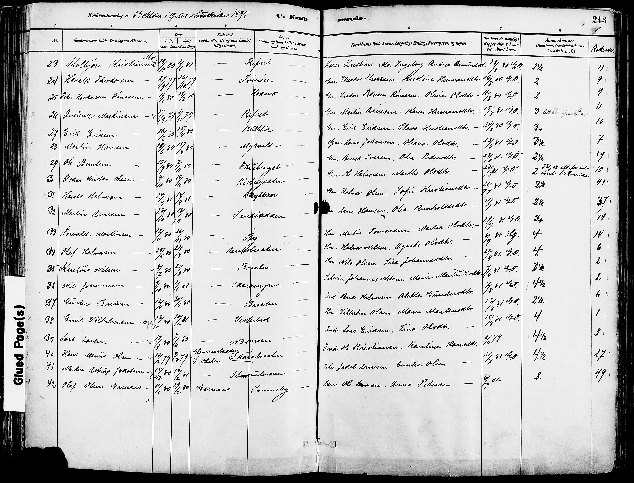 Grue prestekontor, SAH/PREST-036/H/Ha/Haa/L0012: Parish register (official) no. 12, 1881-1897, p. 243