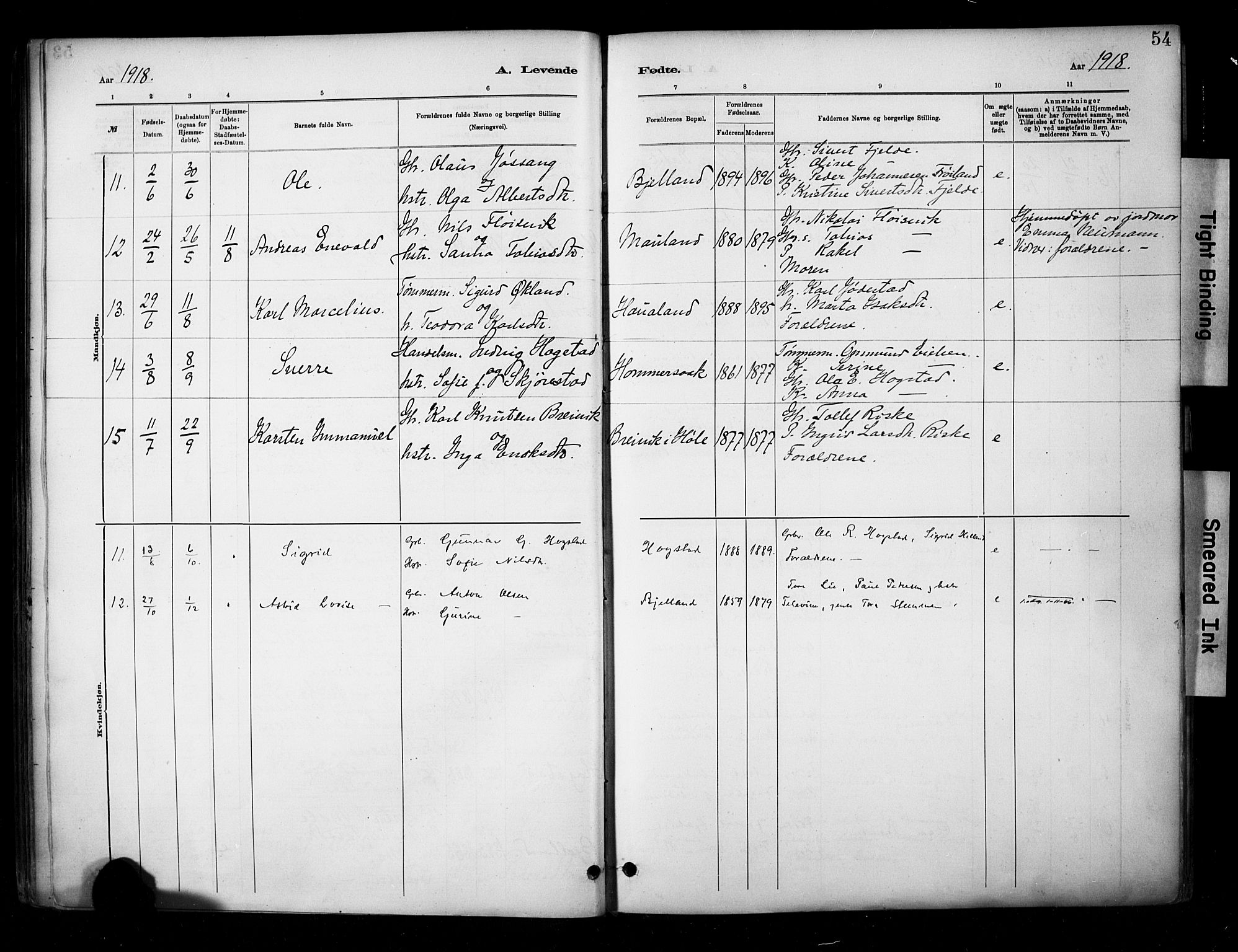 Hetland sokneprestkontor, AV/SAST-A-101826/30/30BA/L0010: Parish register (official) no. A 10, 1882-1925, p. 54