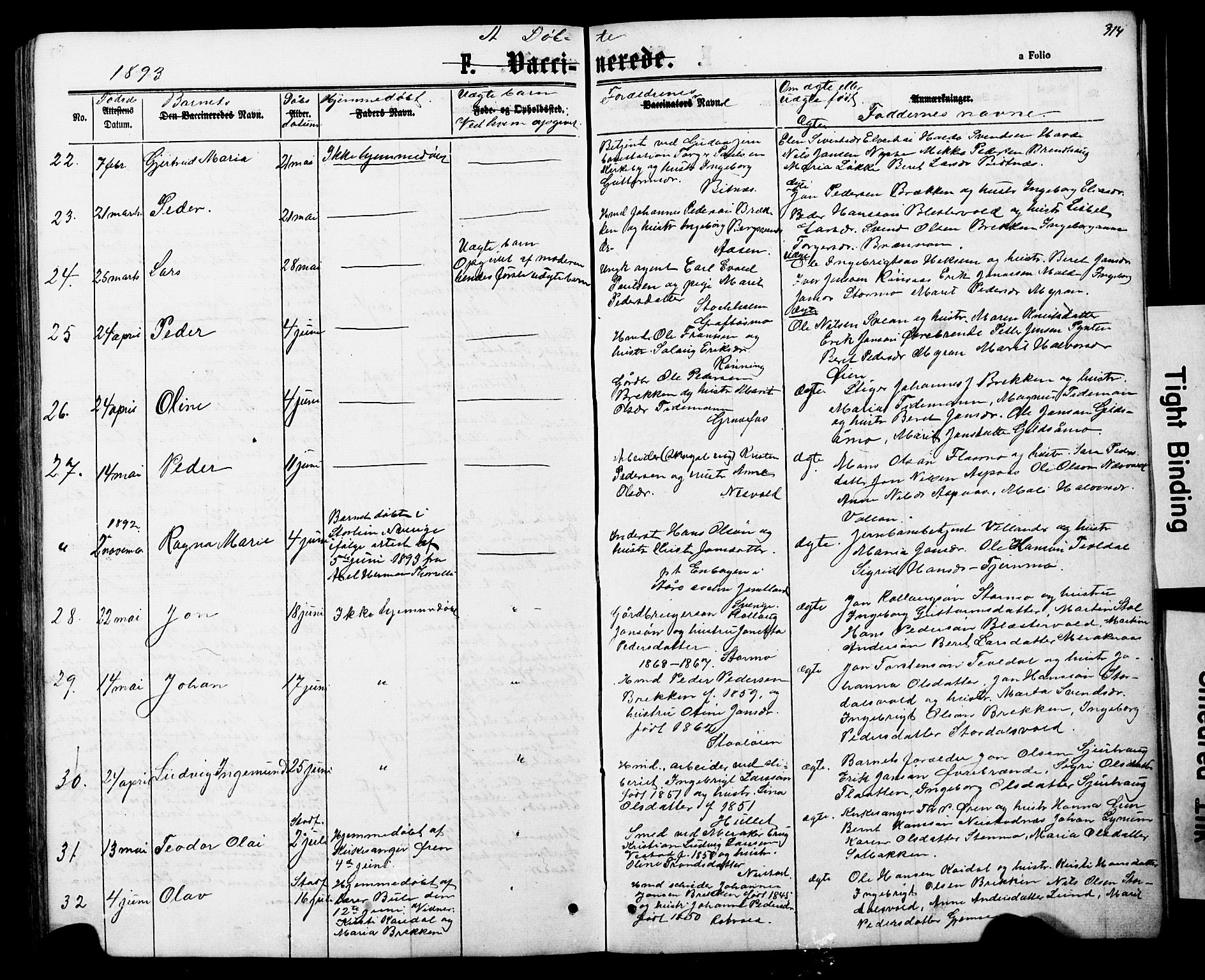 Ministerialprotokoller, klokkerbøker og fødselsregistre - Nord-Trøndelag, SAT/A-1458/706/L0049: Parish register (copy) no. 706C01, 1864-1895, p. 314