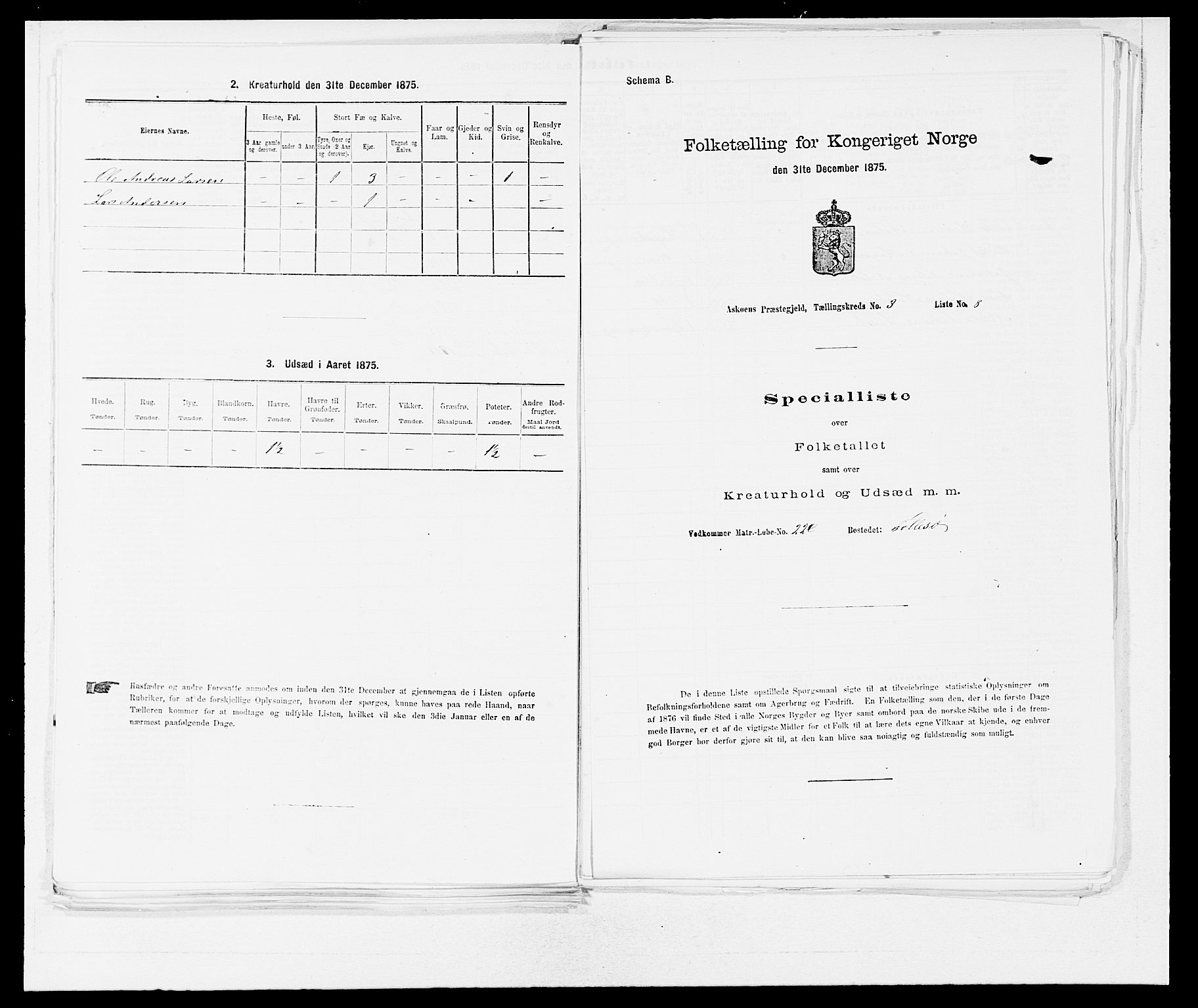 SAB, 1875 census for 1247P Askøy, 1875, p. 289