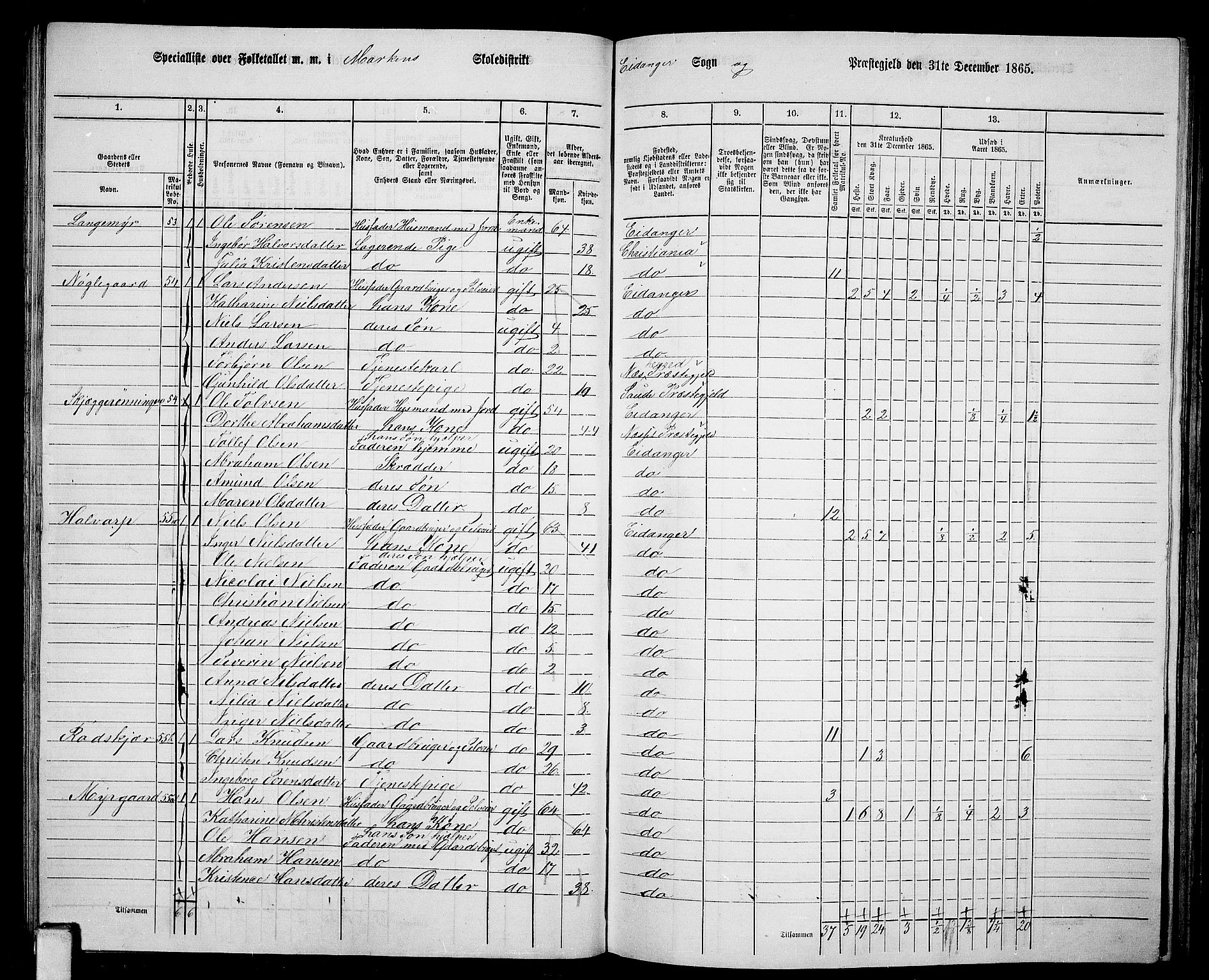 RA, 1865 census for Eidanger, 1865, p. 32
