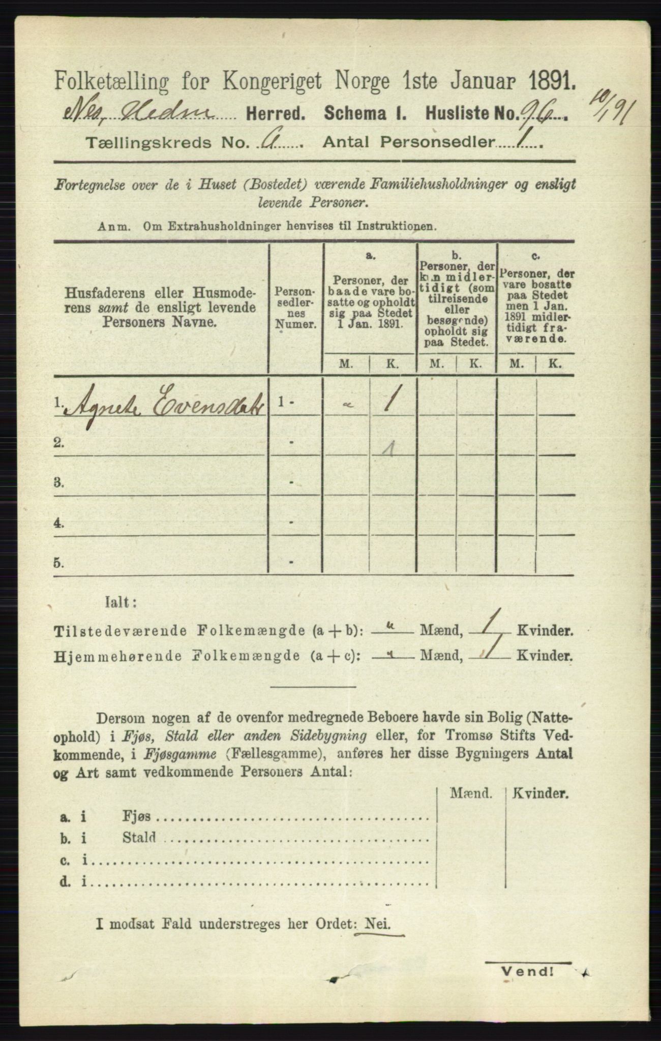 RA, 1891 census for 0411 Nes, 1891, p. 3264