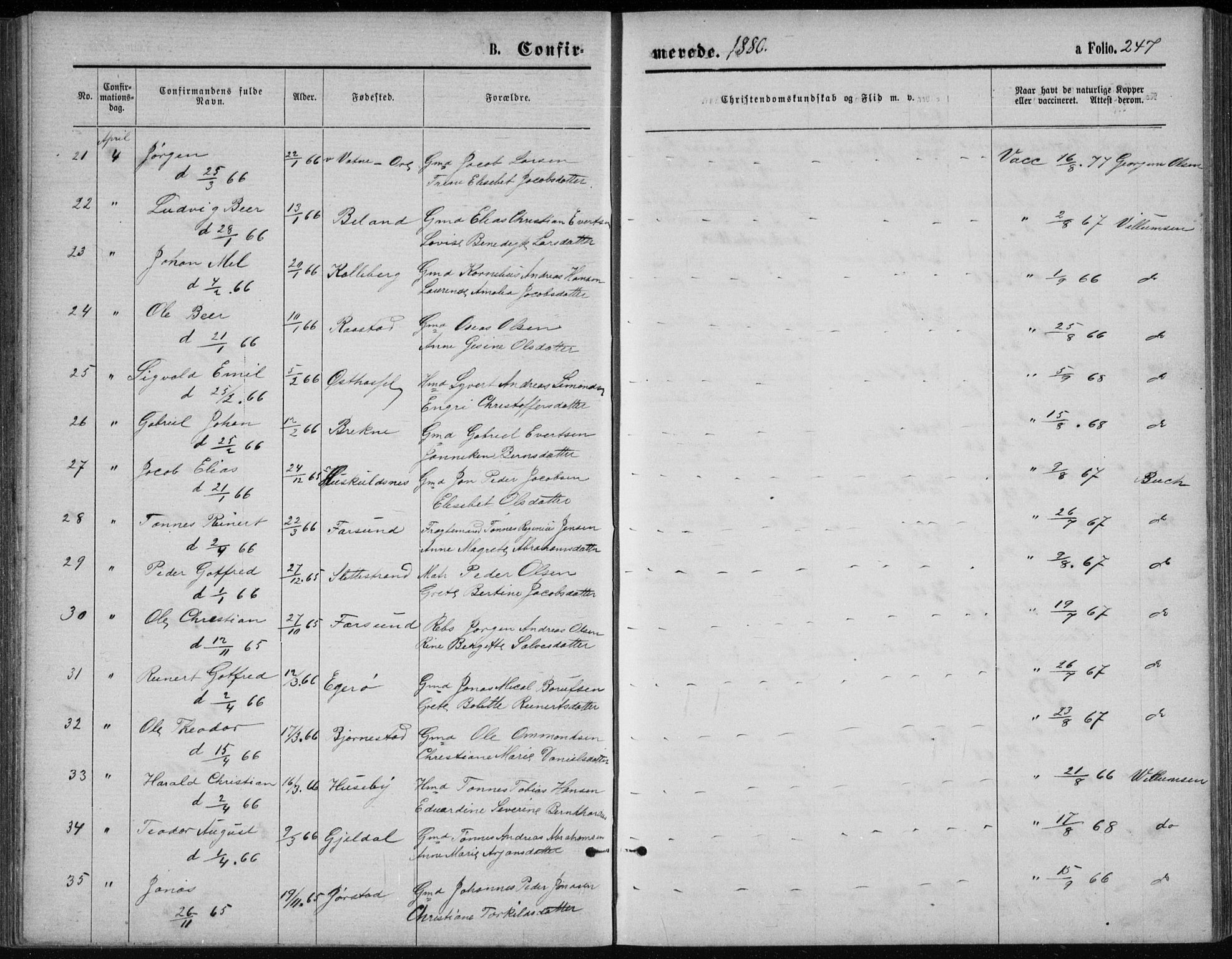 Lista sokneprestkontor, AV/SAK-1111-0027/F/Fb/L0004: Parish register (copy) no. B 4, 1877-1891, p. 247