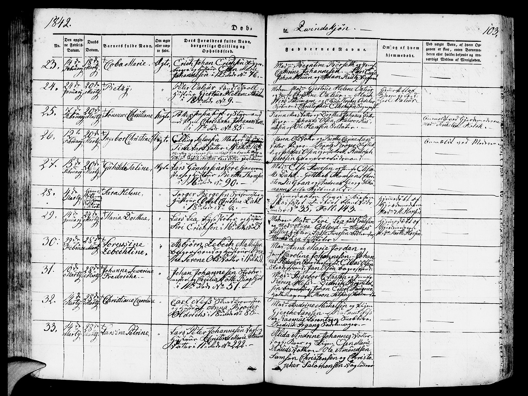 Domkirken sokneprestembete, SAB/A-74801/H/Hab/L0009: Parish register (copy) no. B 2, 1842-1849, p. 103