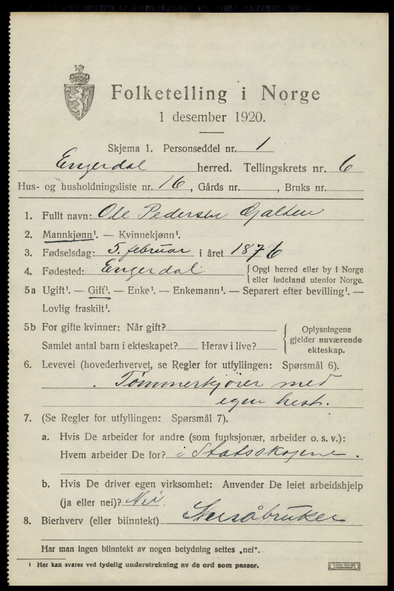 SAH, 1920 census for Engerdal, 1920, p. 2927