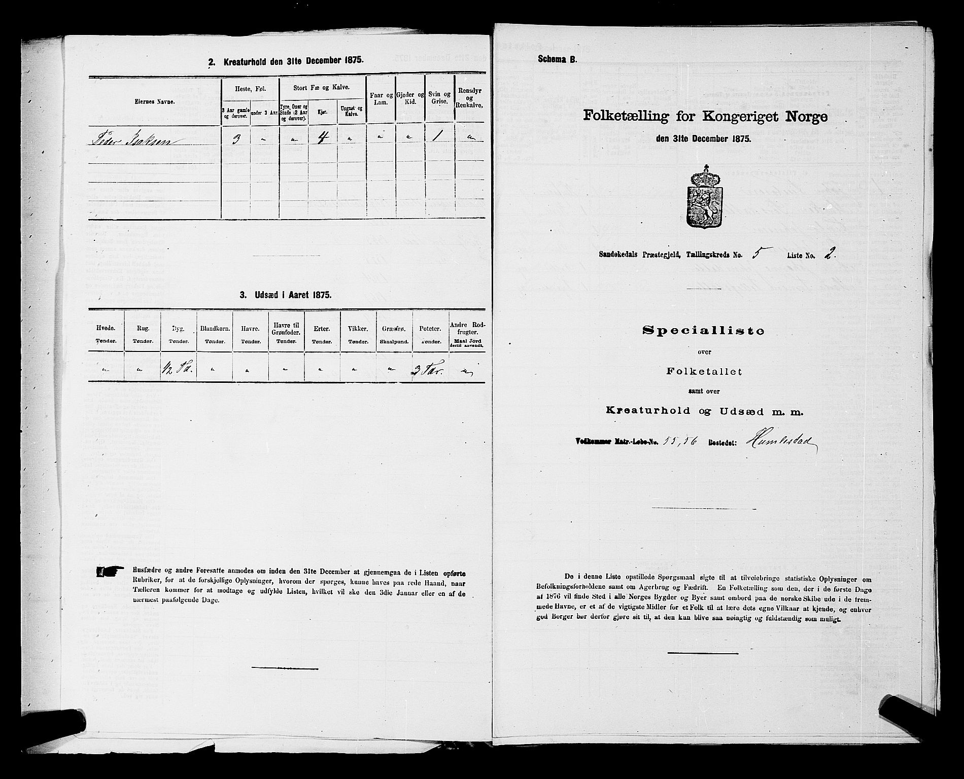 SAKO, 1875 census for 0816P Sannidal, 1875, p. 316