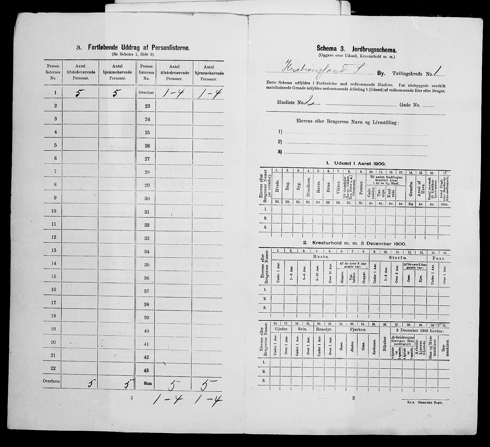 SAK, 1900 census for Kristiansand, 1900, p. 172
