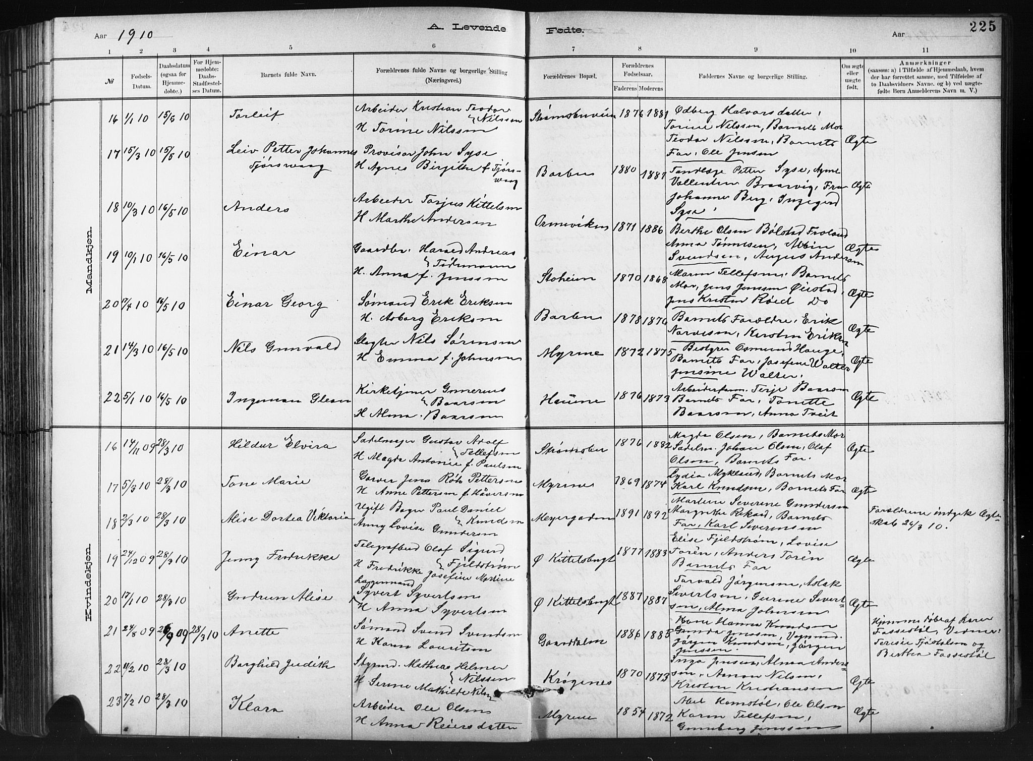 Barbu sokneprestkontor, AV/SAK-1111-0003/F/Fb/L0002: Parish register (copy) no. B 2, 1890-1922, p. 225