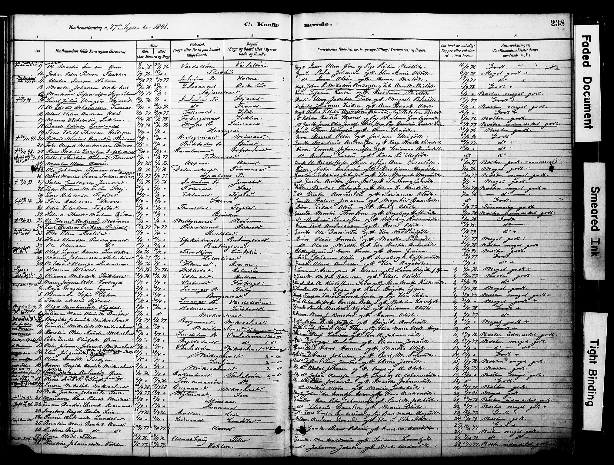 Ministerialprotokoller, klokkerbøker og fødselsregistre - Nord-Trøndelag, SAT/A-1458/723/L0244: Parish register (official) no. 723A13, 1881-1899, p. 238