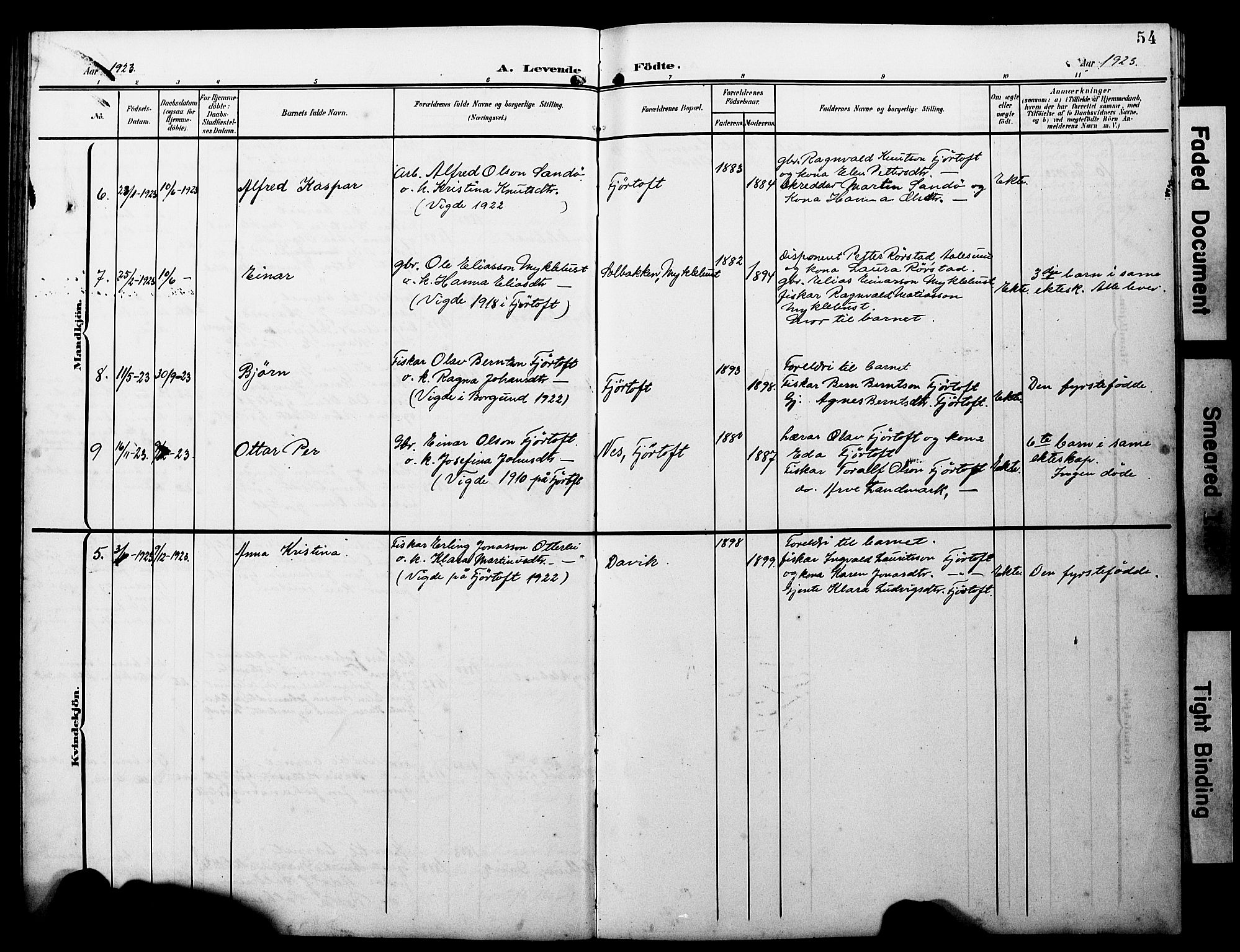 Ministerialprotokoller, klokkerbøker og fødselsregistre - Møre og Romsdal, AV/SAT-A-1454/538/L0524: Parish register (copy) no. 538C02, 1901-1931, p. 54