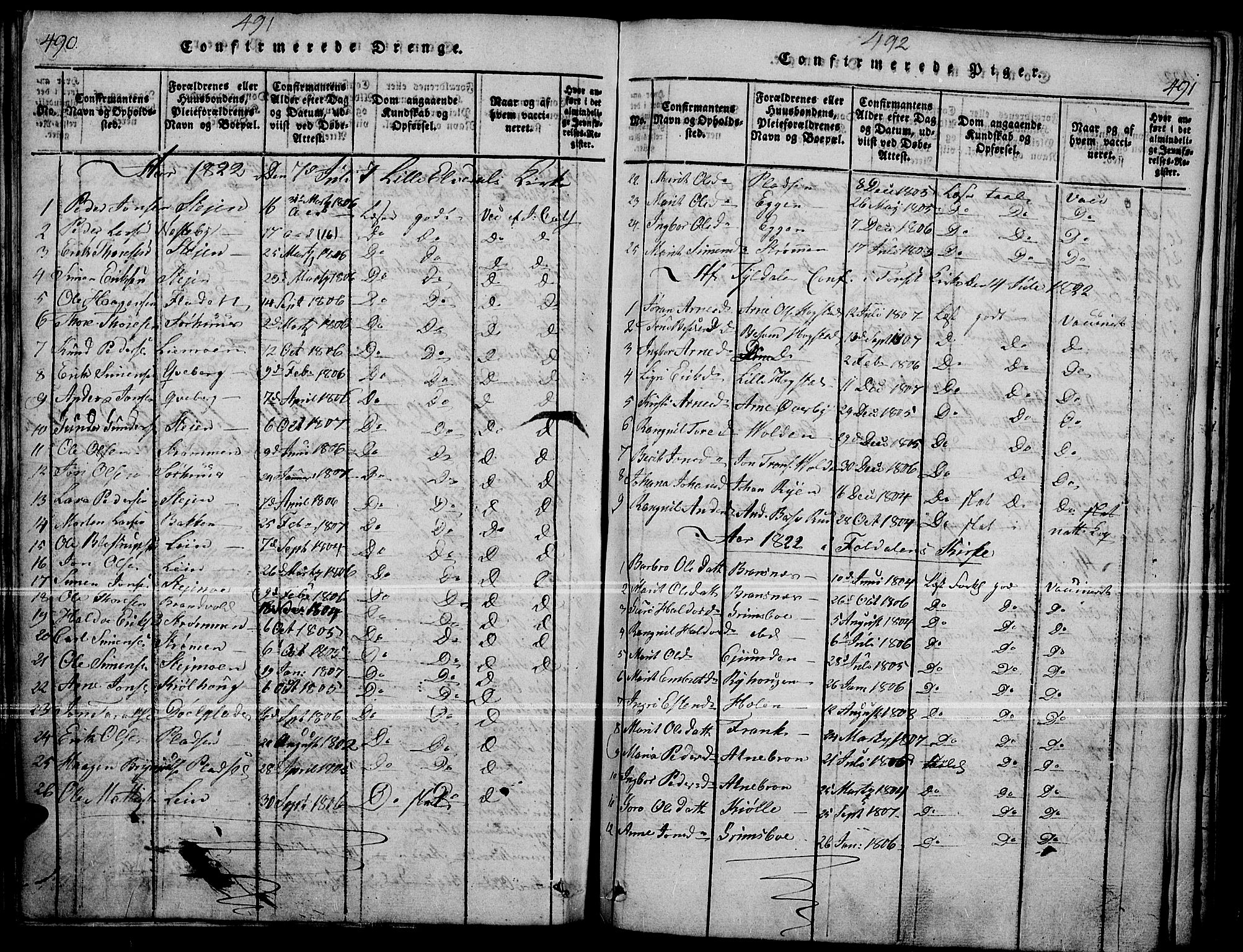 Tynset prestekontor, SAH/PREST-058/H/Ha/Haa/L0018: Parish register (official) no. 18, 1815-1829, p. 490-491