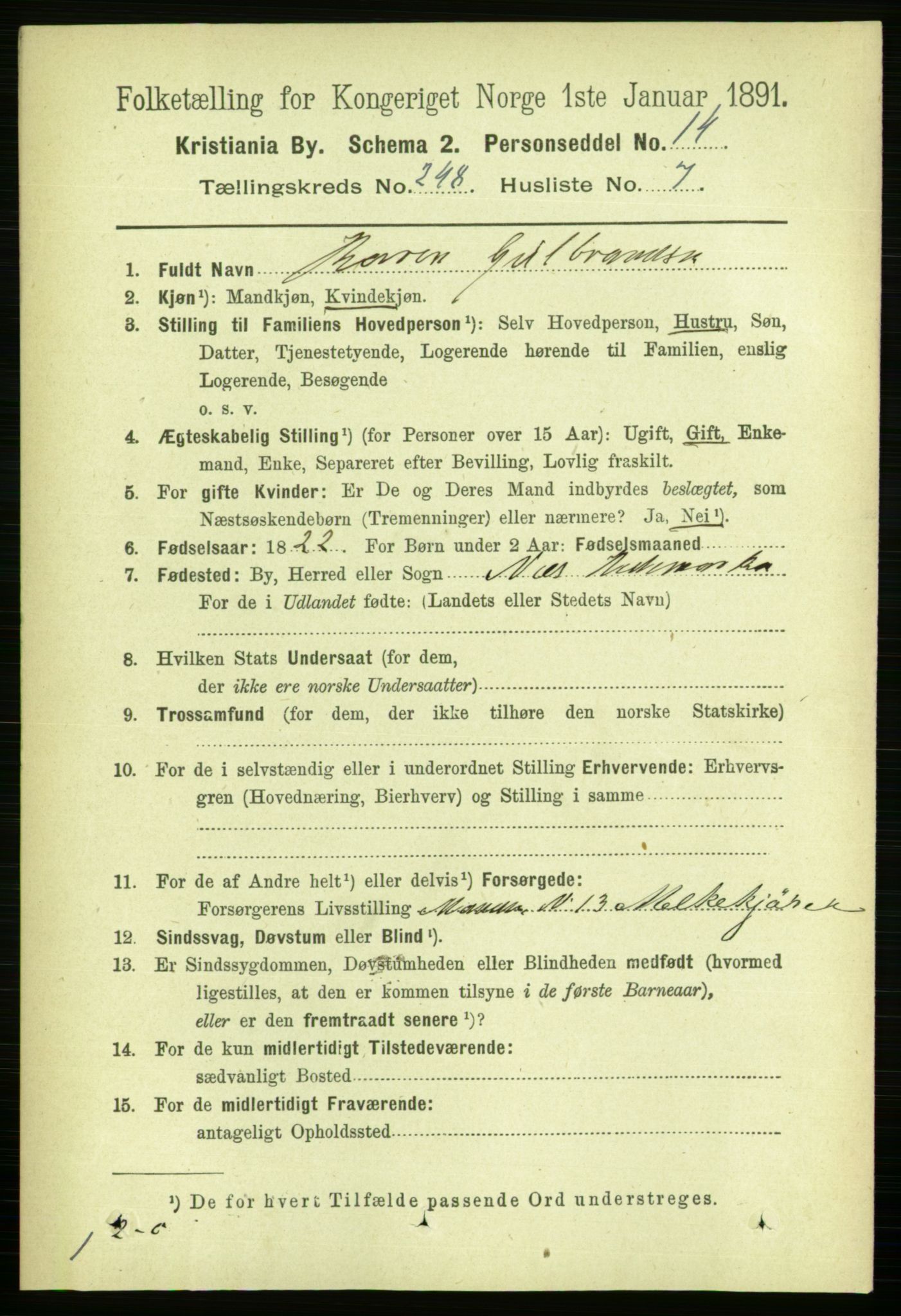 RA, 1891 census for 0301 Kristiania, 1891, p. 151313