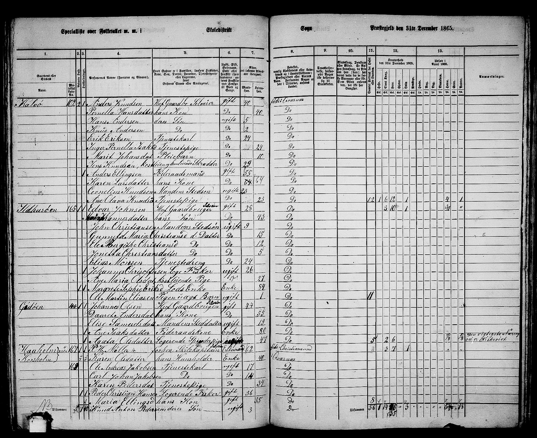 RA, 1865 census for Kvernes, 1865, p. 155