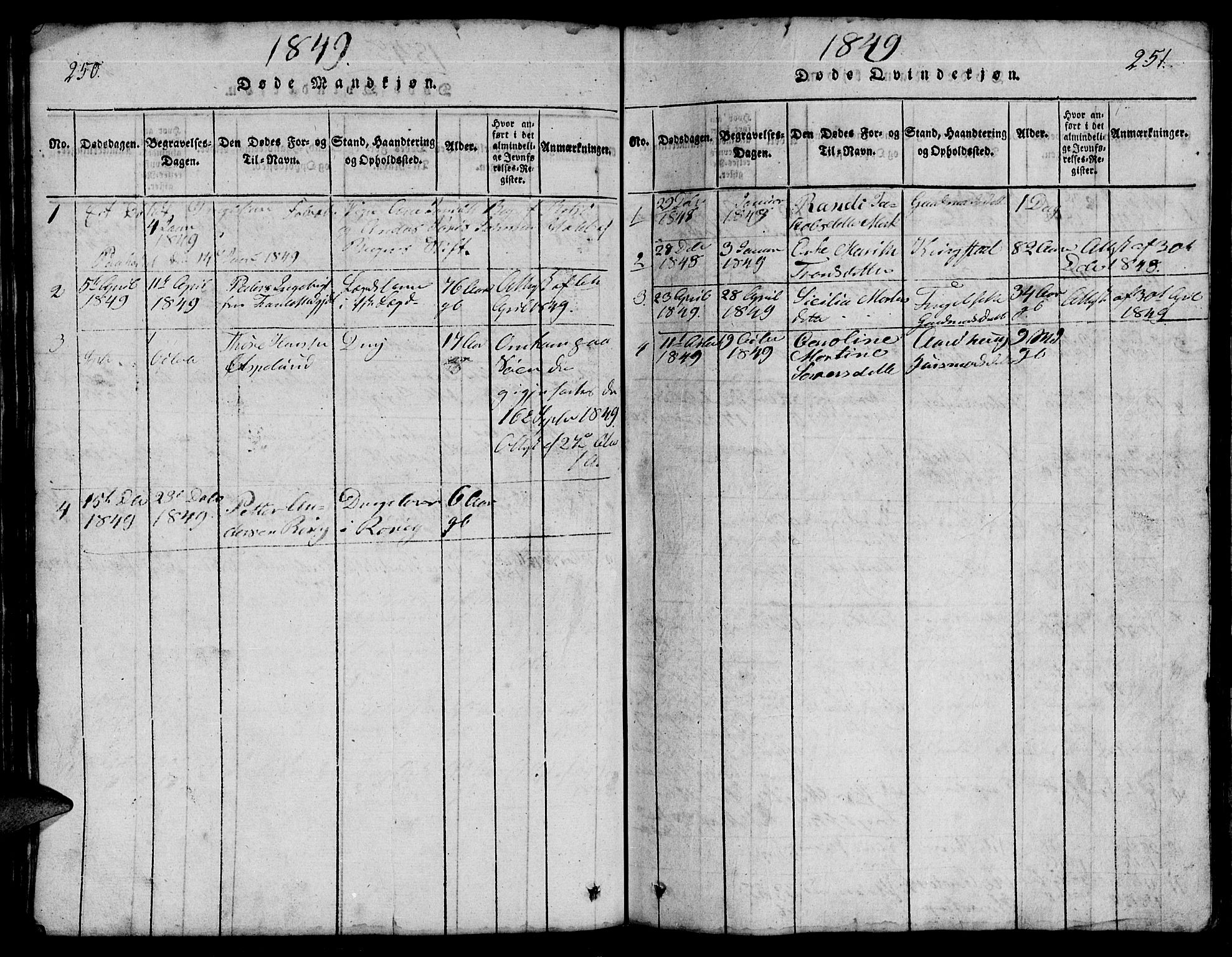 Ministerialprotokoller, klokkerbøker og fødselsregistre - Møre og Romsdal, SAT/A-1454/555/L0665: Parish register (copy) no. 555C01, 1818-1868, p. 250-251