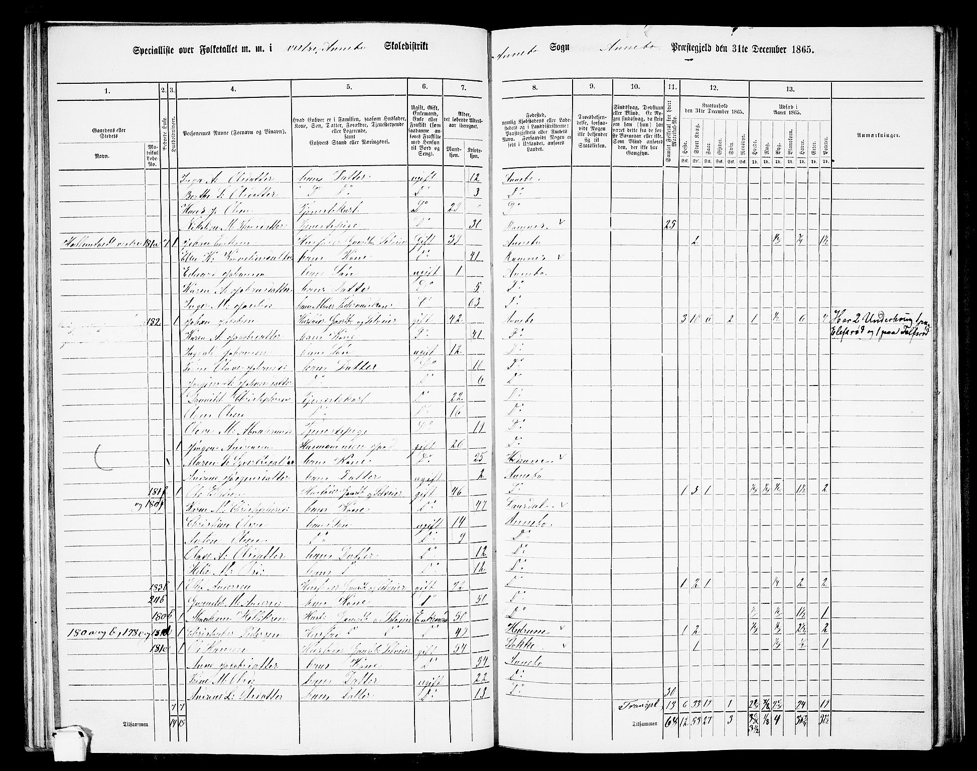 RA, 1865 census for Andebu, 1865, p. 48