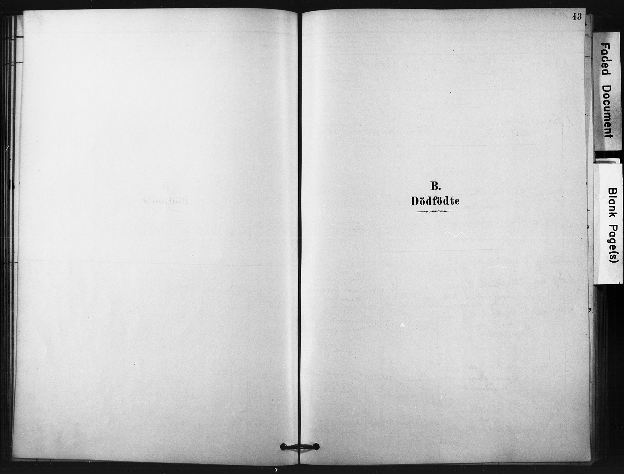 Fiskum kirkebøker, SAKO/A-15/F/Fa/L0002: Parish register (official) no. 2, 1878-1890, p. 43