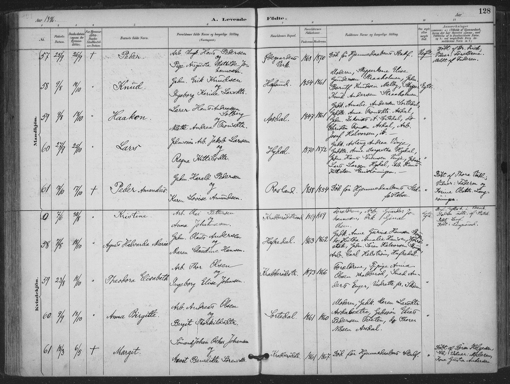 Bamble kirkebøker, AV/SAKO-A-253/F/Fa/L0008: Parish register (official) no. I 8, 1888-1900, p. 128