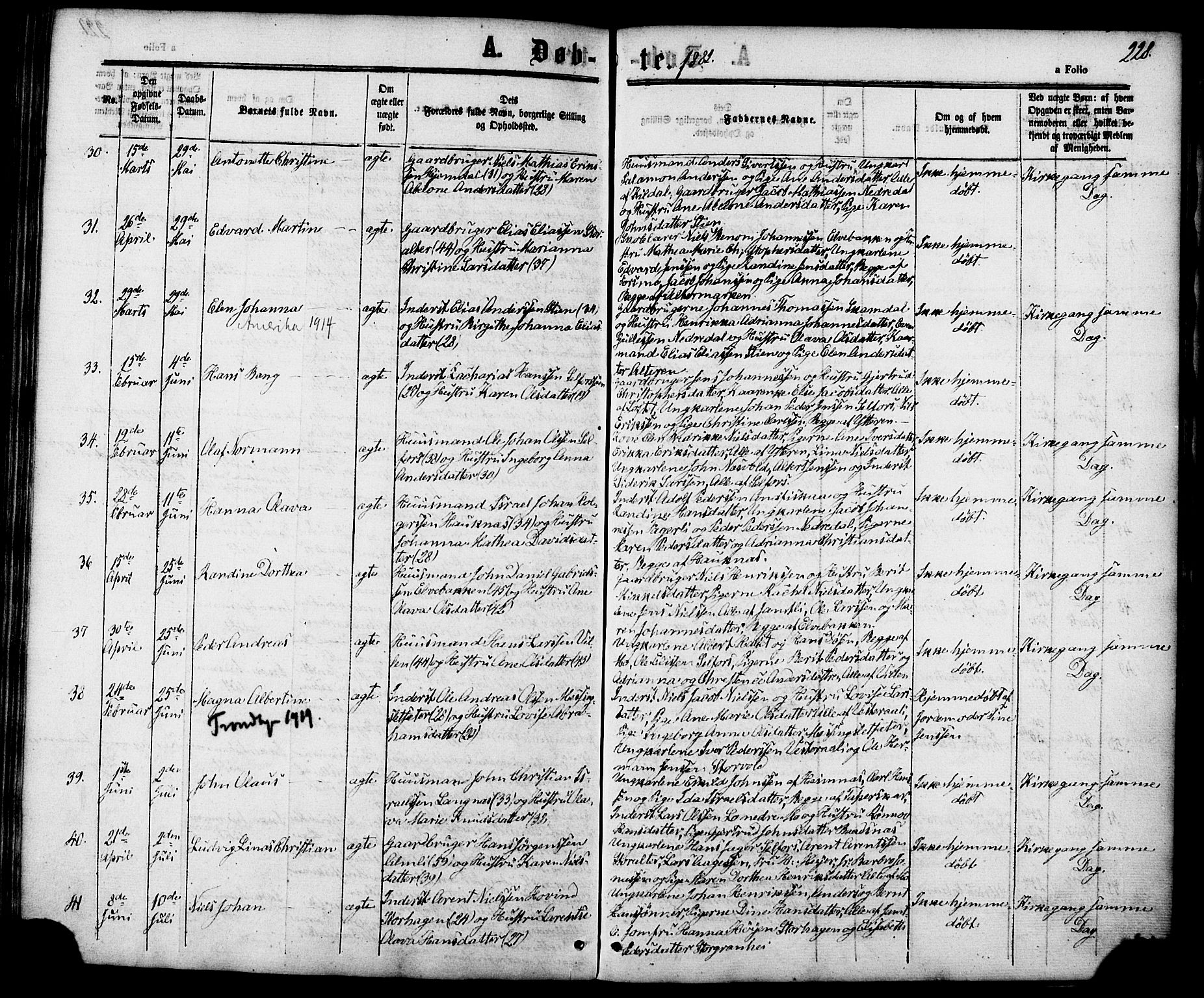 Ministerialprotokoller, klokkerbøker og fødselsregistre - Nordland, AV/SAT-A-1459/827/L0393: Parish register (official) no. 827A05, 1863-1883, p. 228