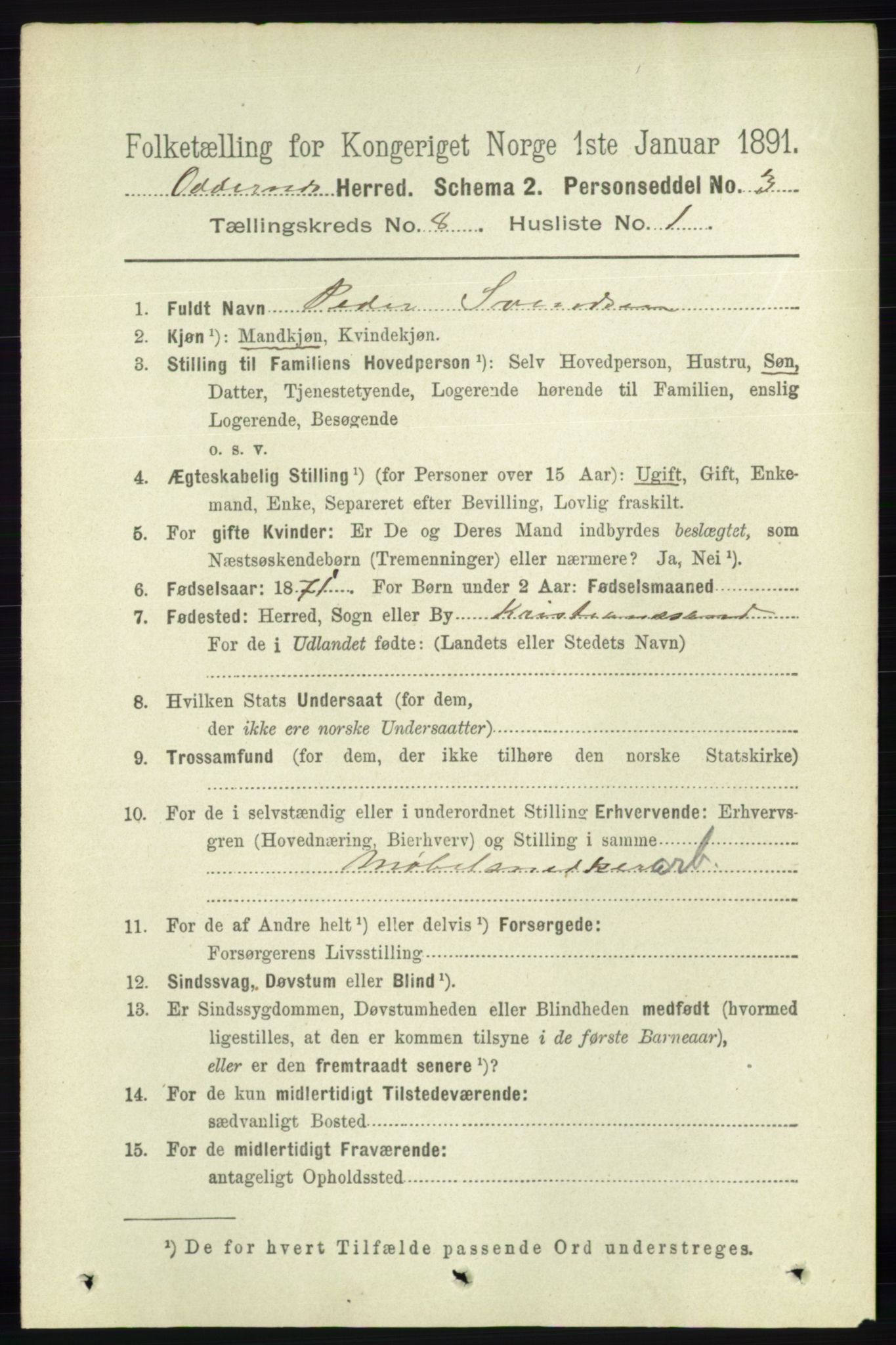 RA, 1891 census for 1012 Oddernes, 1891, p. 2708