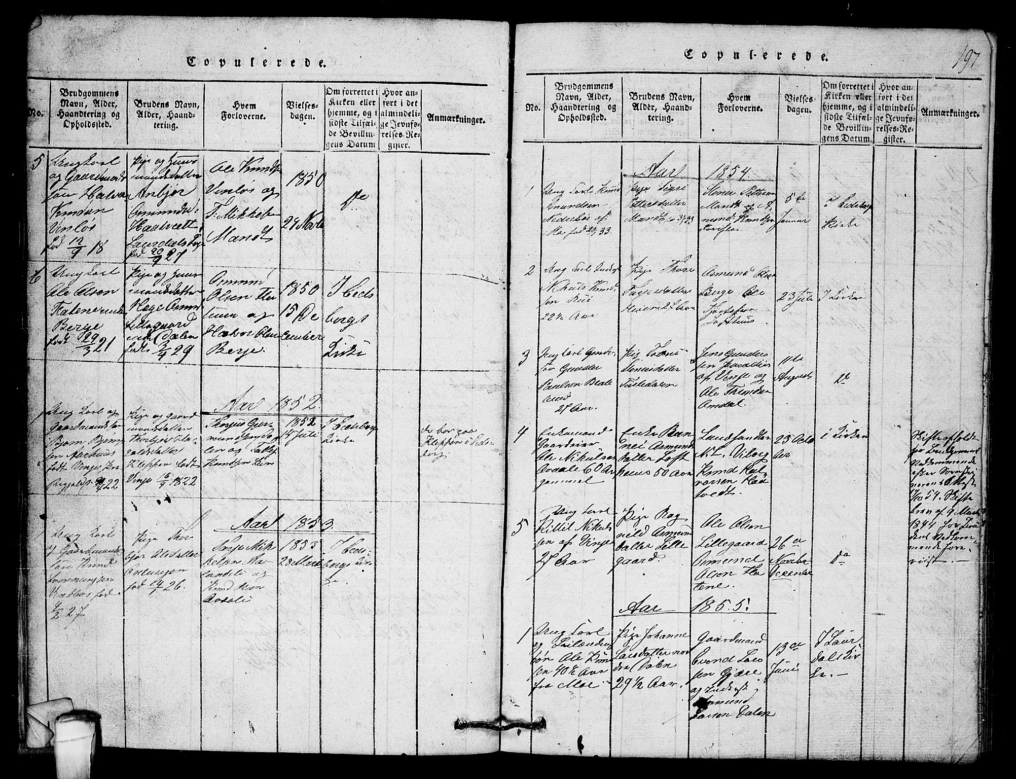 Lårdal kirkebøker, SAKO/A-284/G/Gb/L0001: Parish register (copy) no. II 1, 1815-1865, p. 197
