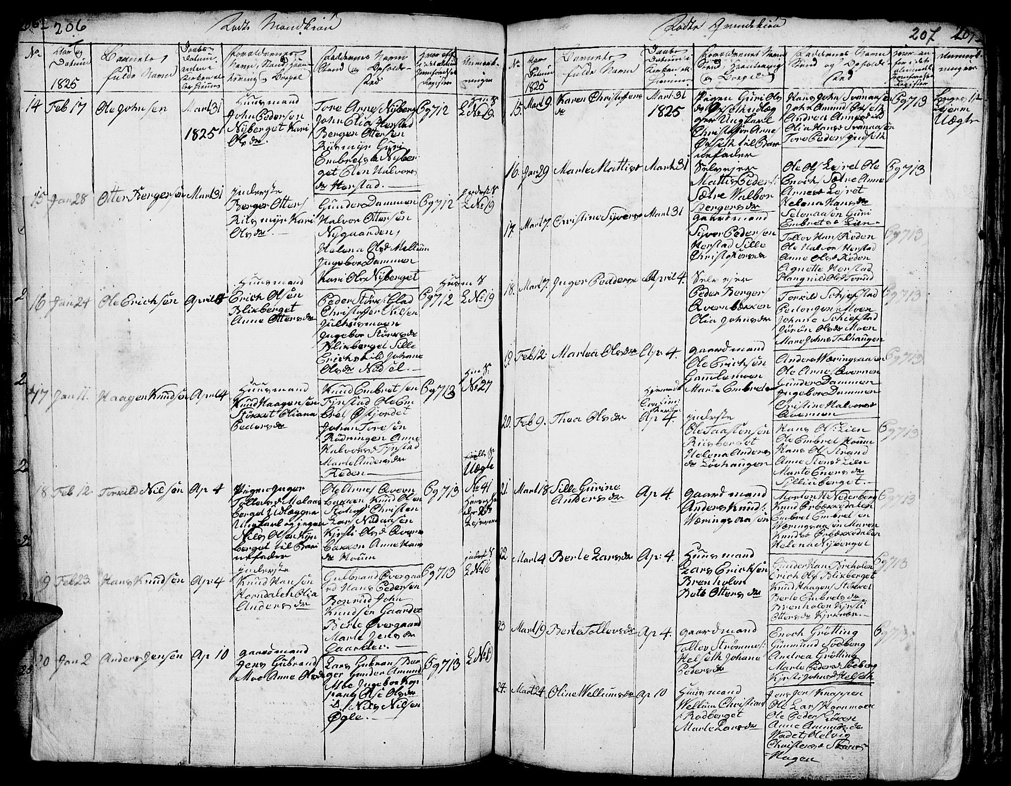 Elverum prestekontor, AV/SAH-PREST-044/H/Ha/Hab/L0001: Parish register (copy) no. 1, 1815-1829, p. 206-207