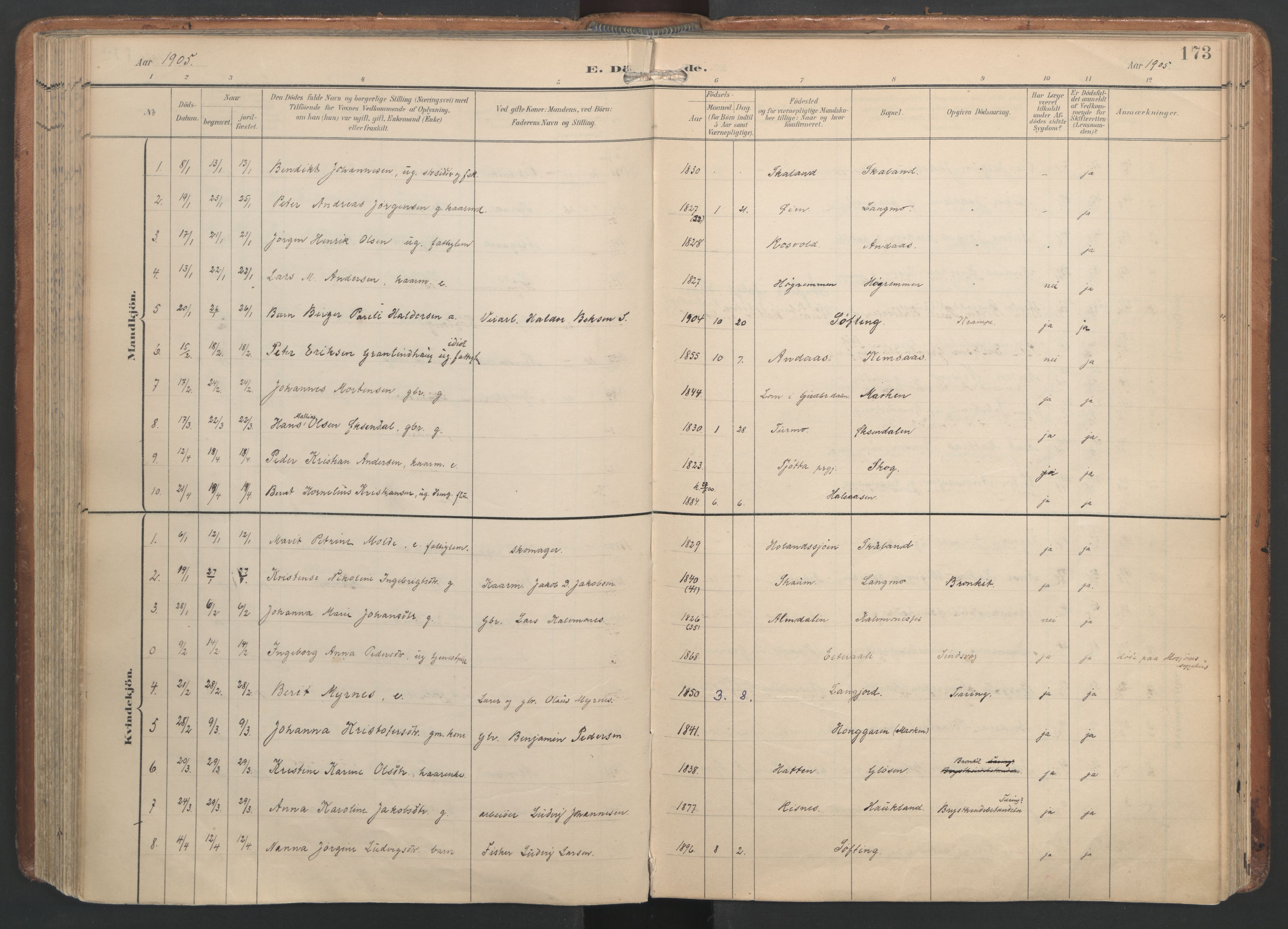 Ministerialprotokoller, klokkerbøker og fødselsregistre - Nordland, SAT/A-1459/820/L0298: Parish register (official) no. 820A19, 1897-1915, p. 173