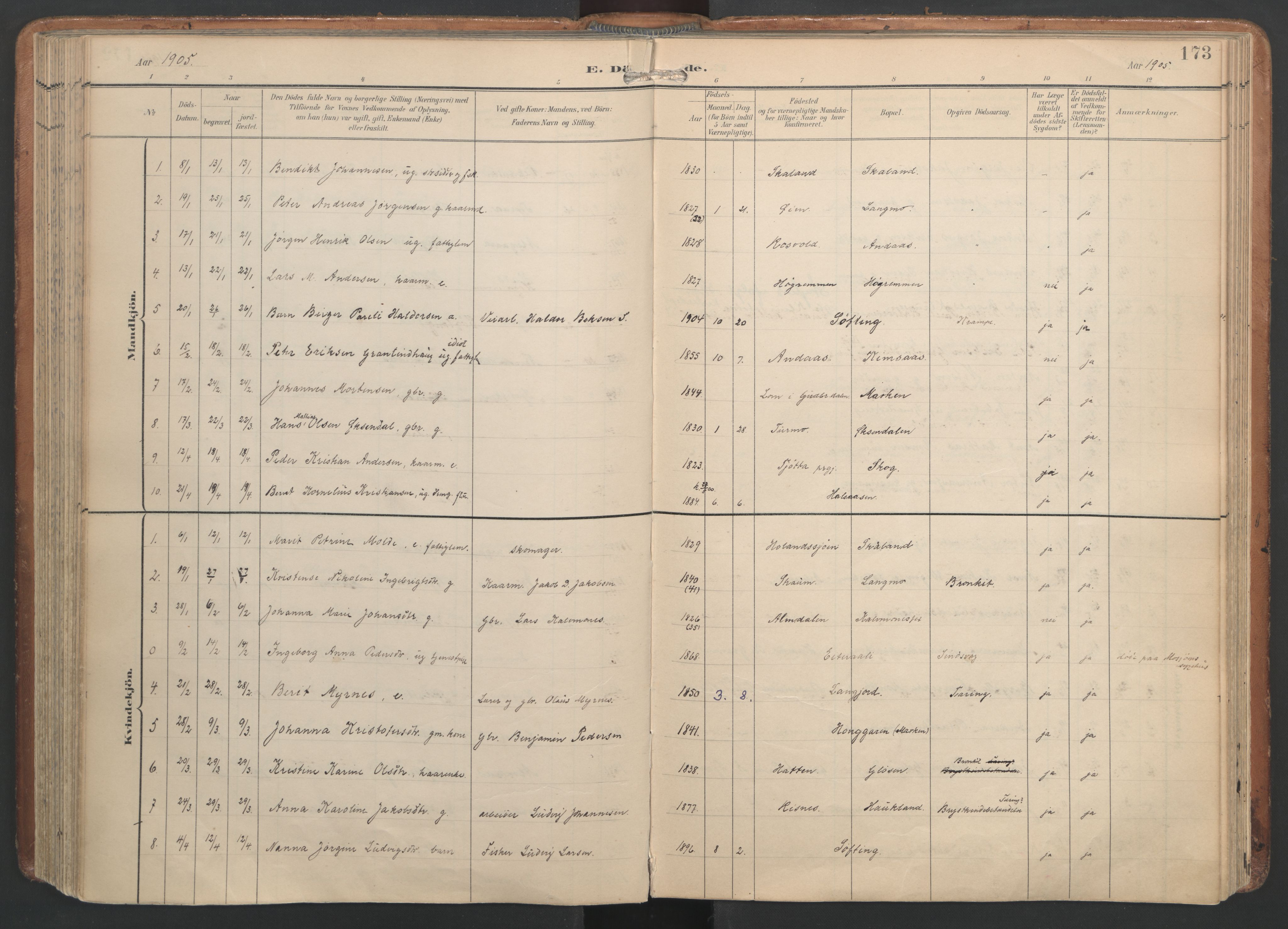 Ministerialprotokoller, klokkerbøker og fødselsregistre - Nordland, AV/SAT-A-1459/820/L0298: Parish register (official) no. 820A19, 1897-1915, p. 173