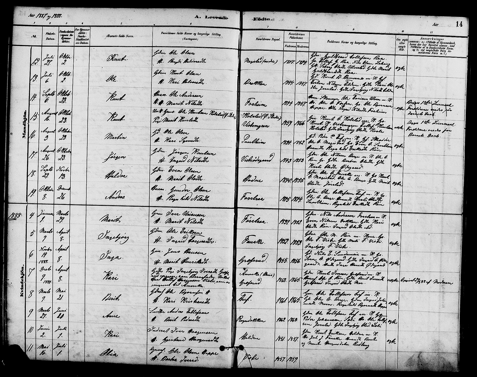Vestre Slidre prestekontor, AV/SAH-PREST-136/H/Ha/Hab/L0005: Parish register (copy) no. 5, 1881-1913, p. 14