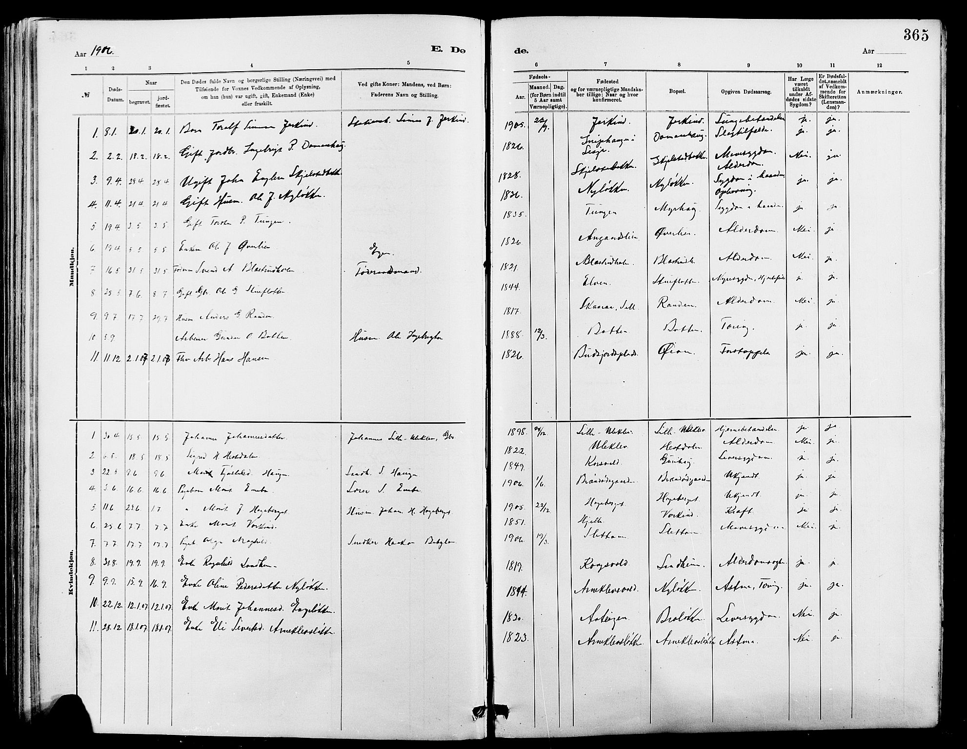 Dovre prestekontor, AV/SAH-PREST-066/H/Ha/Hab/L0002: Parish register (copy) no. 2, 1881-1907, p. 365