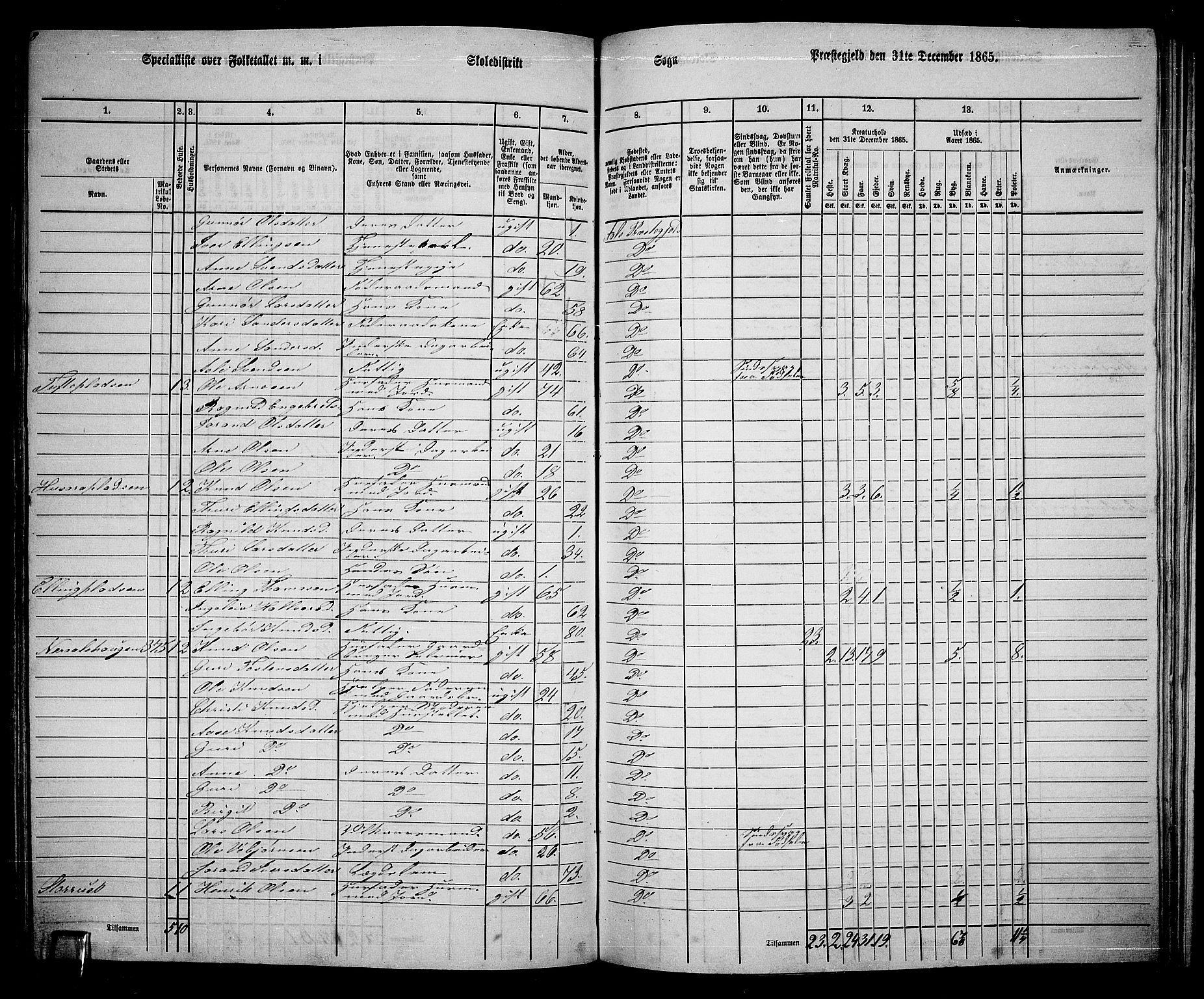 RA, 1865 census for Ål, 1865, p. 189