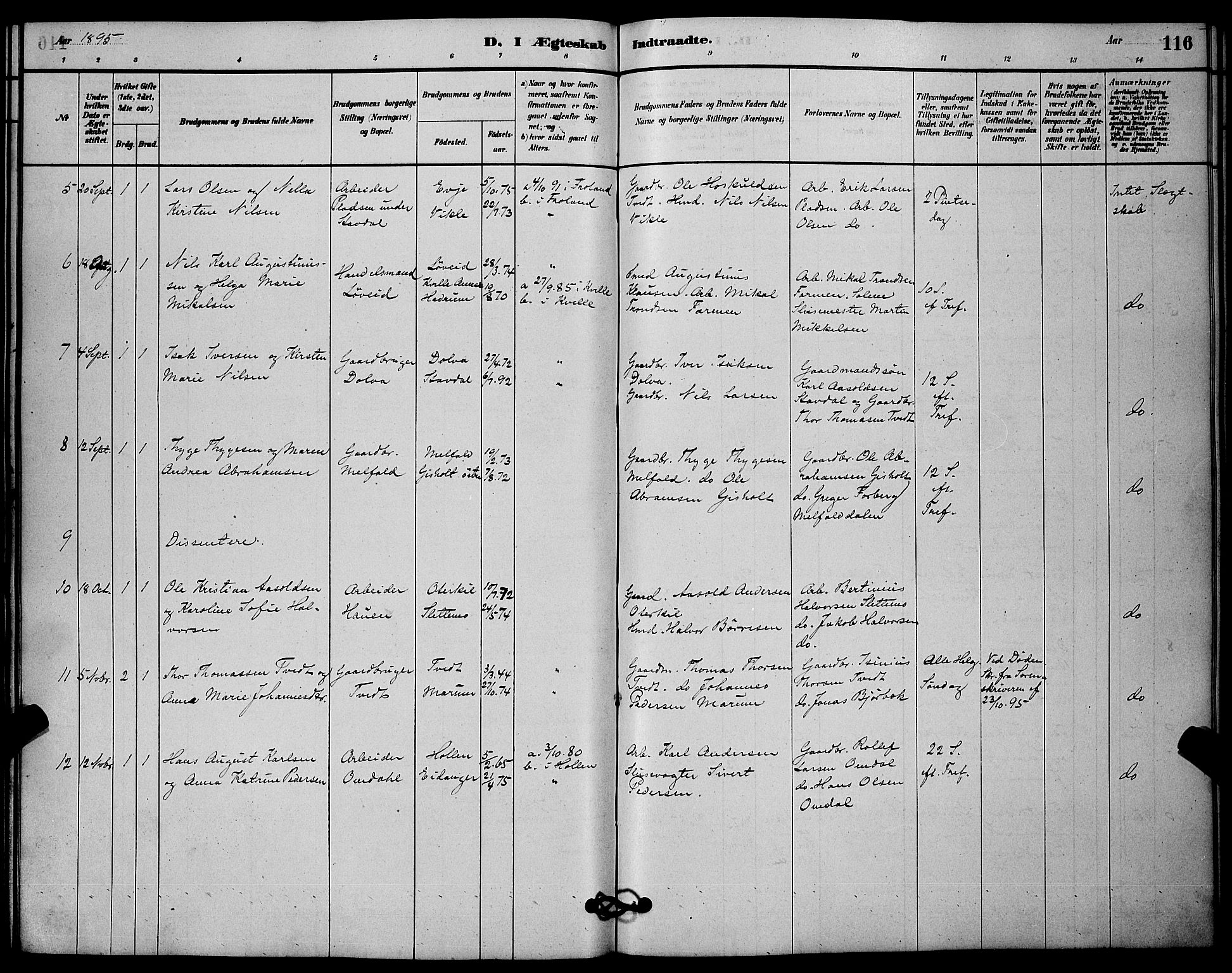 Solum kirkebøker, SAKO/A-306/G/Gb/L0003: Parish register (copy) no. II 3, 1880-1898, p. 116