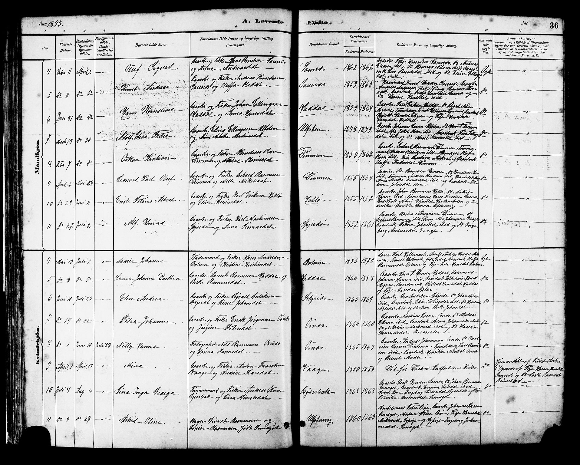 Ministerialprotokoller, klokkerbøker og fødselsregistre - Møre og Romsdal, AV/SAT-A-1454/509/L0112: Parish register (copy) no. 509C02, 1883-1922, p. 36