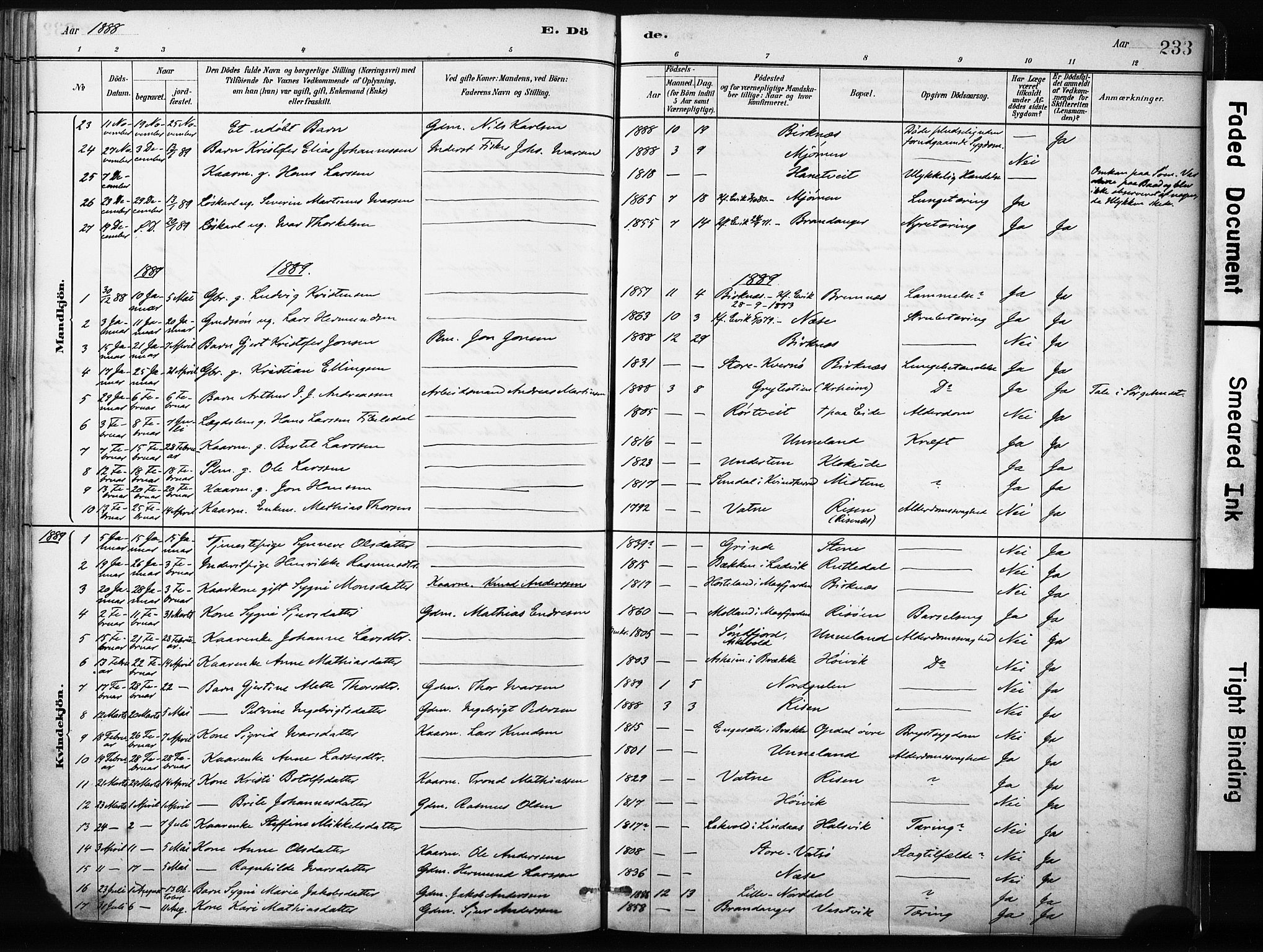Gulen sokneprestembete, SAB/A-80201/H/Haa/Haab/L0001: Parish register (official) no. B 1, 1881-1905, p. 233