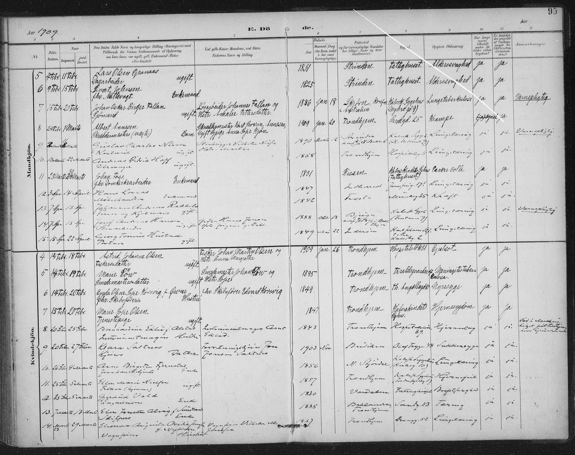 Ministerialprotokoller, klokkerbøker og fødselsregistre - Sør-Trøndelag, AV/SAT-A-1456/602/L0123: Parish register (official) no. 602A21, 1895-1910, p. 95