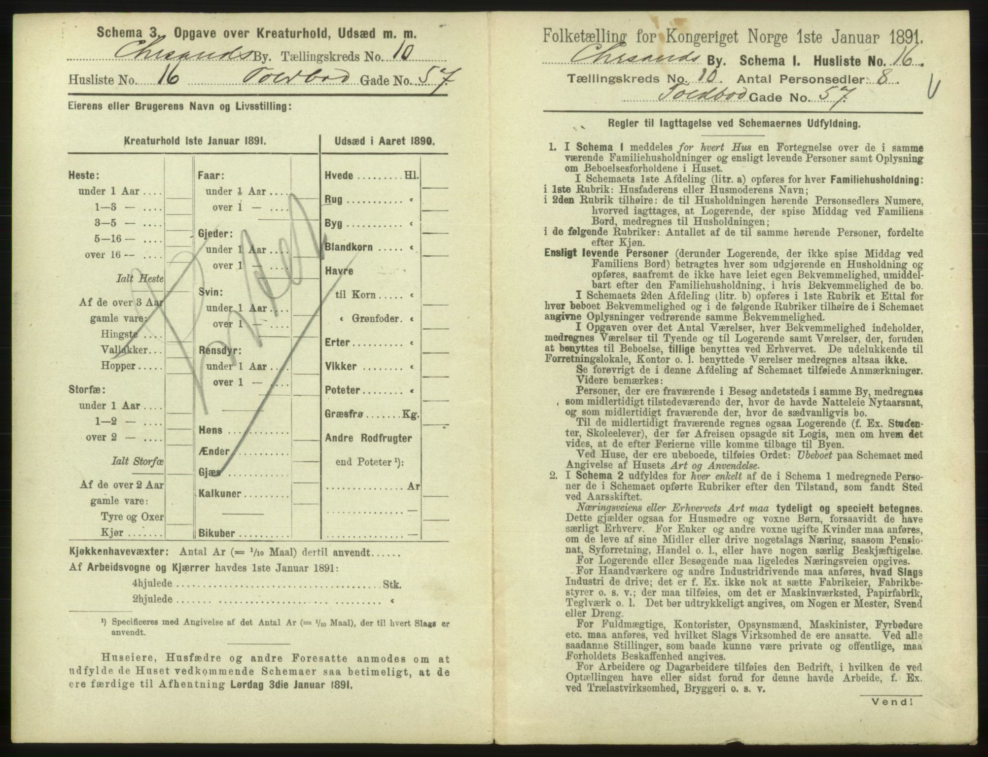 RA, 1891 census for 1001 Kristiansand, 1891, p. 736