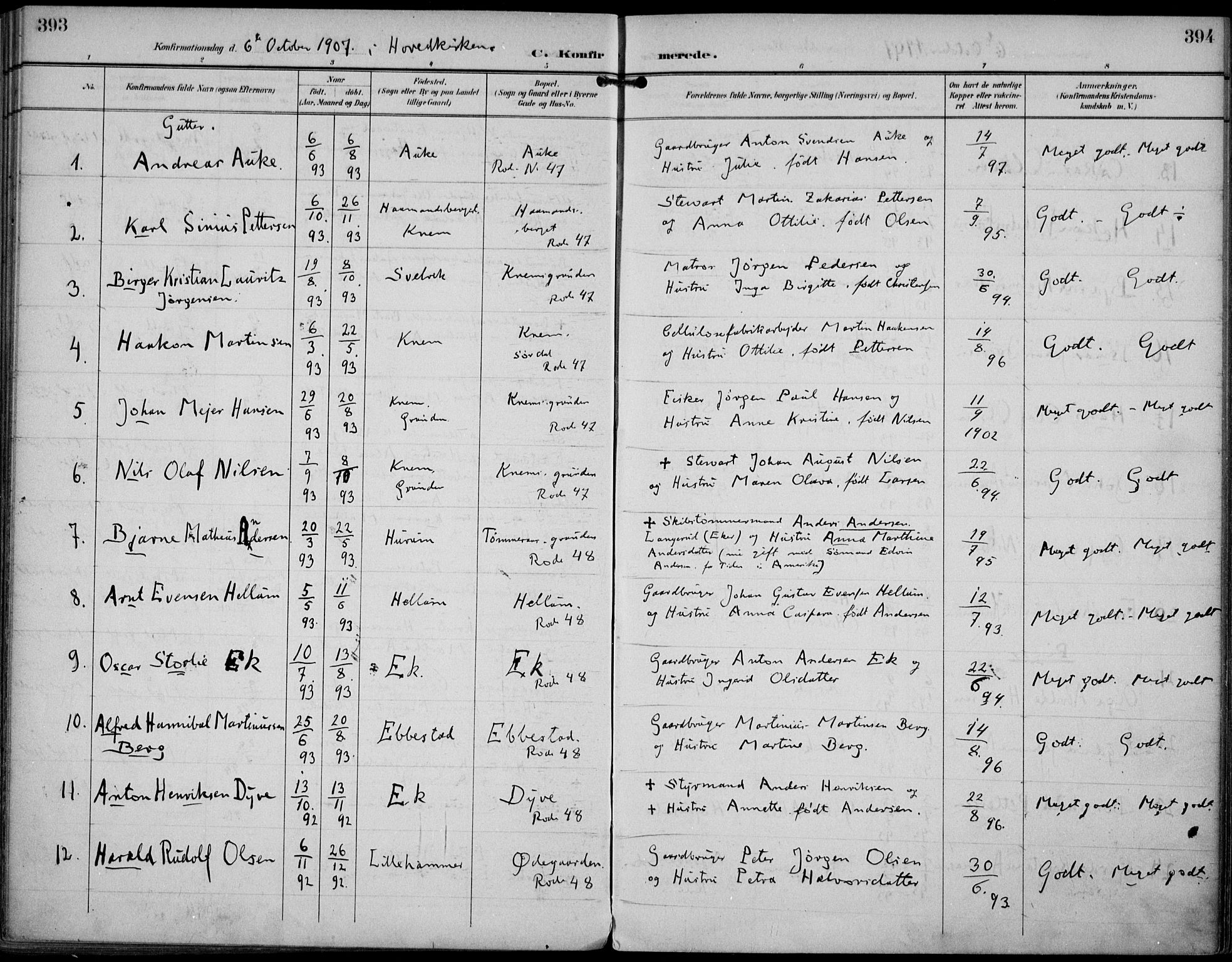 Strømm kirkebøker, AV/SAKO-A-322/F/Fa/L0005: Parish register (official) no. I 5, 1898-1919, p. 393-394
